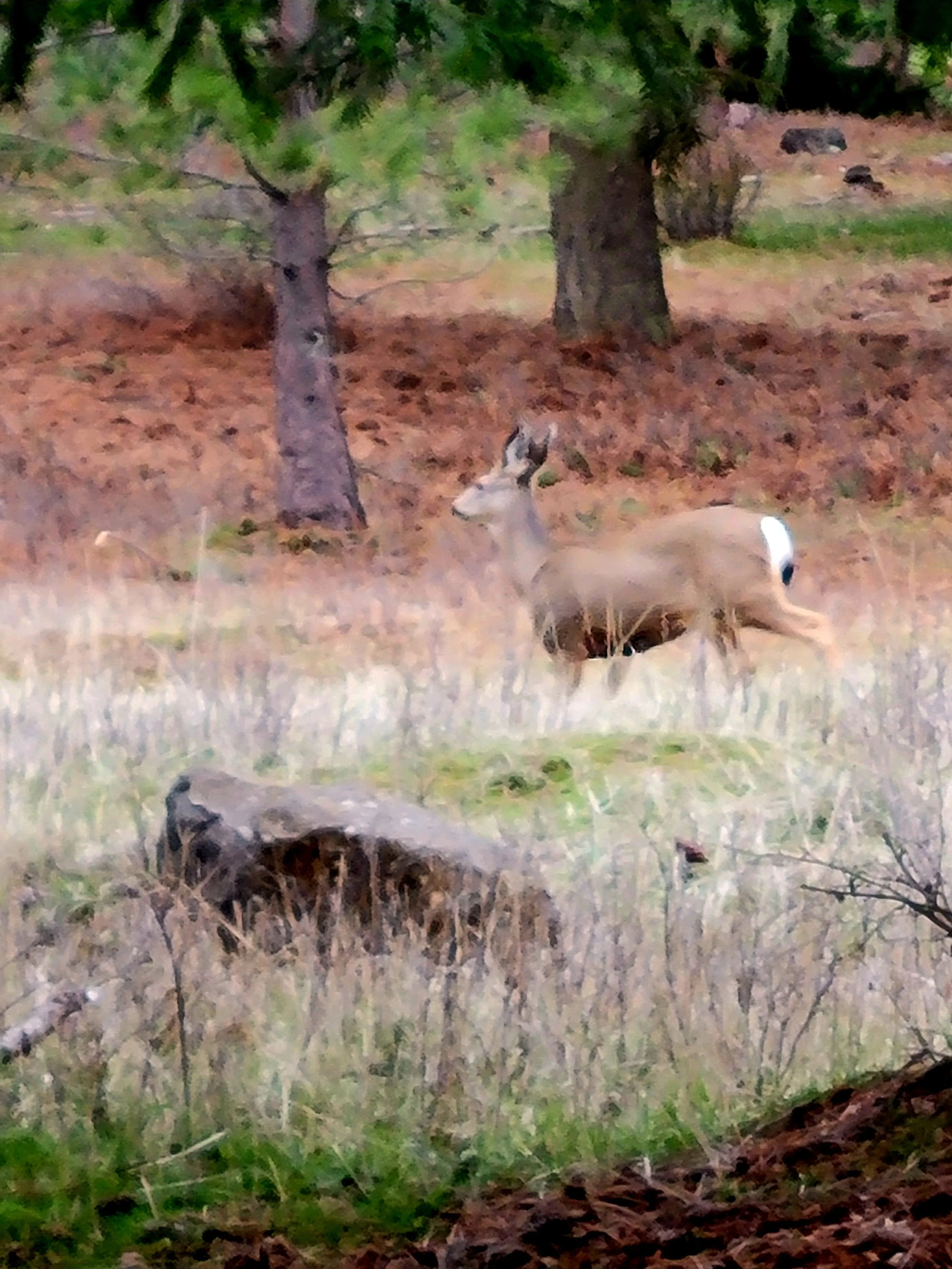 20260213_155032 (2).jpeg