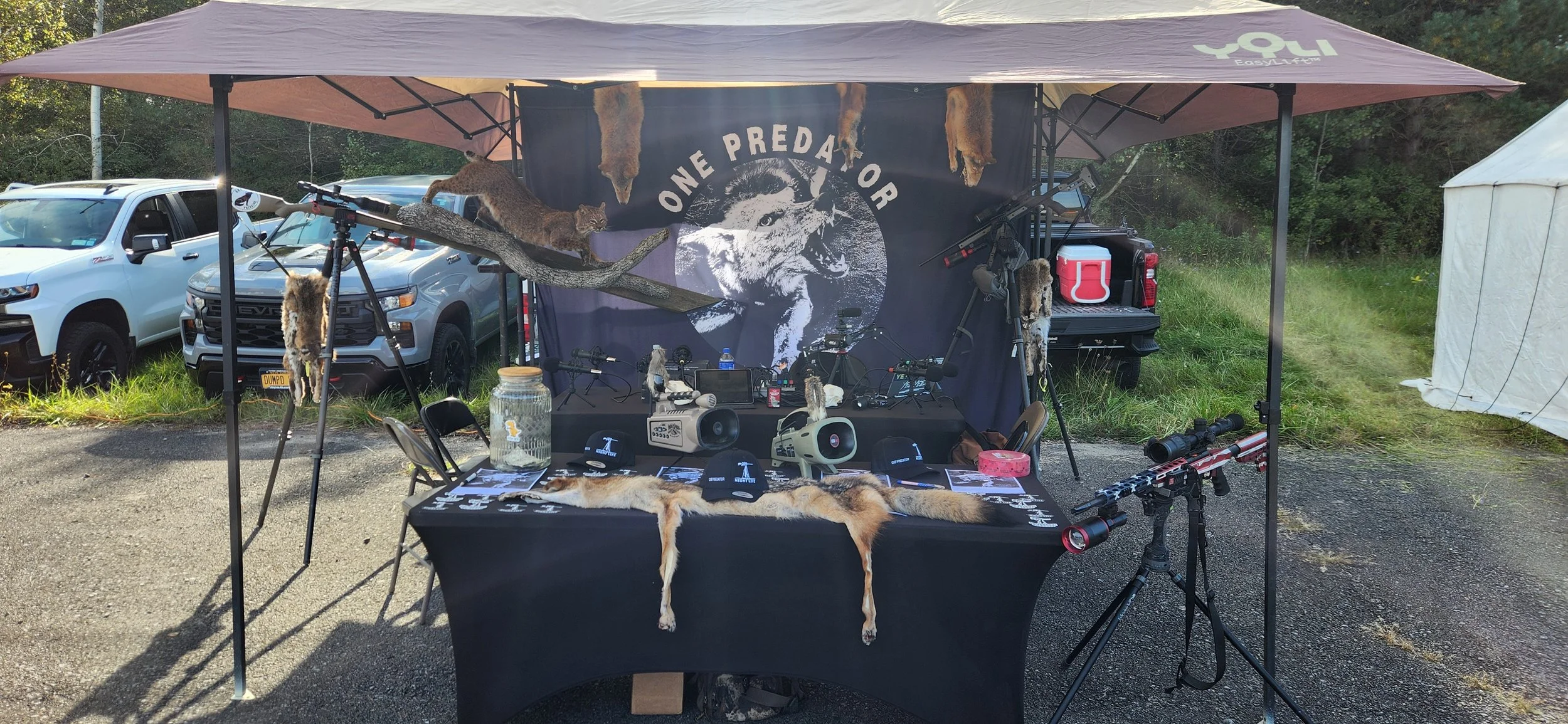 Here is a picture of our first in person live event. We were at the Wildlife Museum in Amsterdam New York.  We had a bobcat mount and several coyote and fox furs.