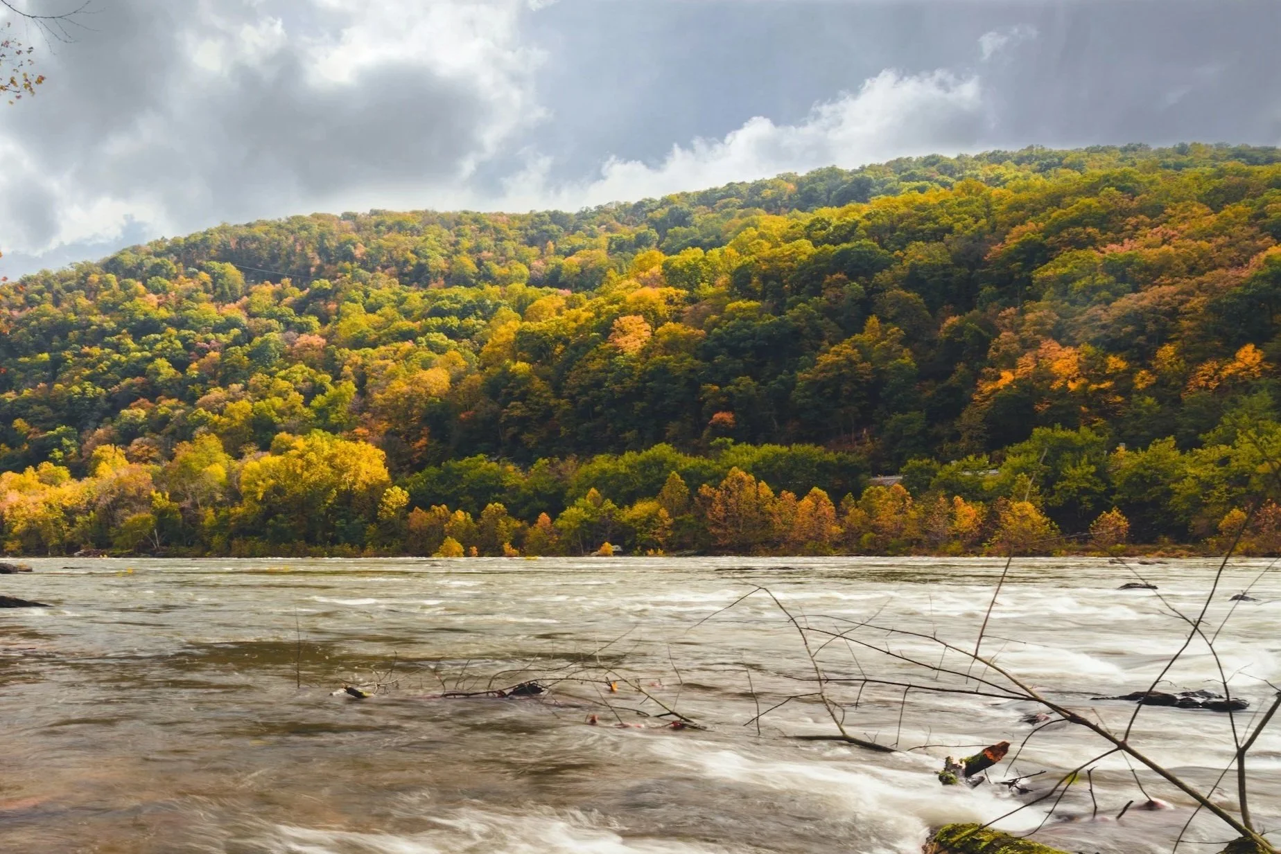 A river flowing in front of a hillside covered in trees. The trees are changing colors for fall, with mainly yellow, orange, and green leaves. Cloudy sky above the hillside.