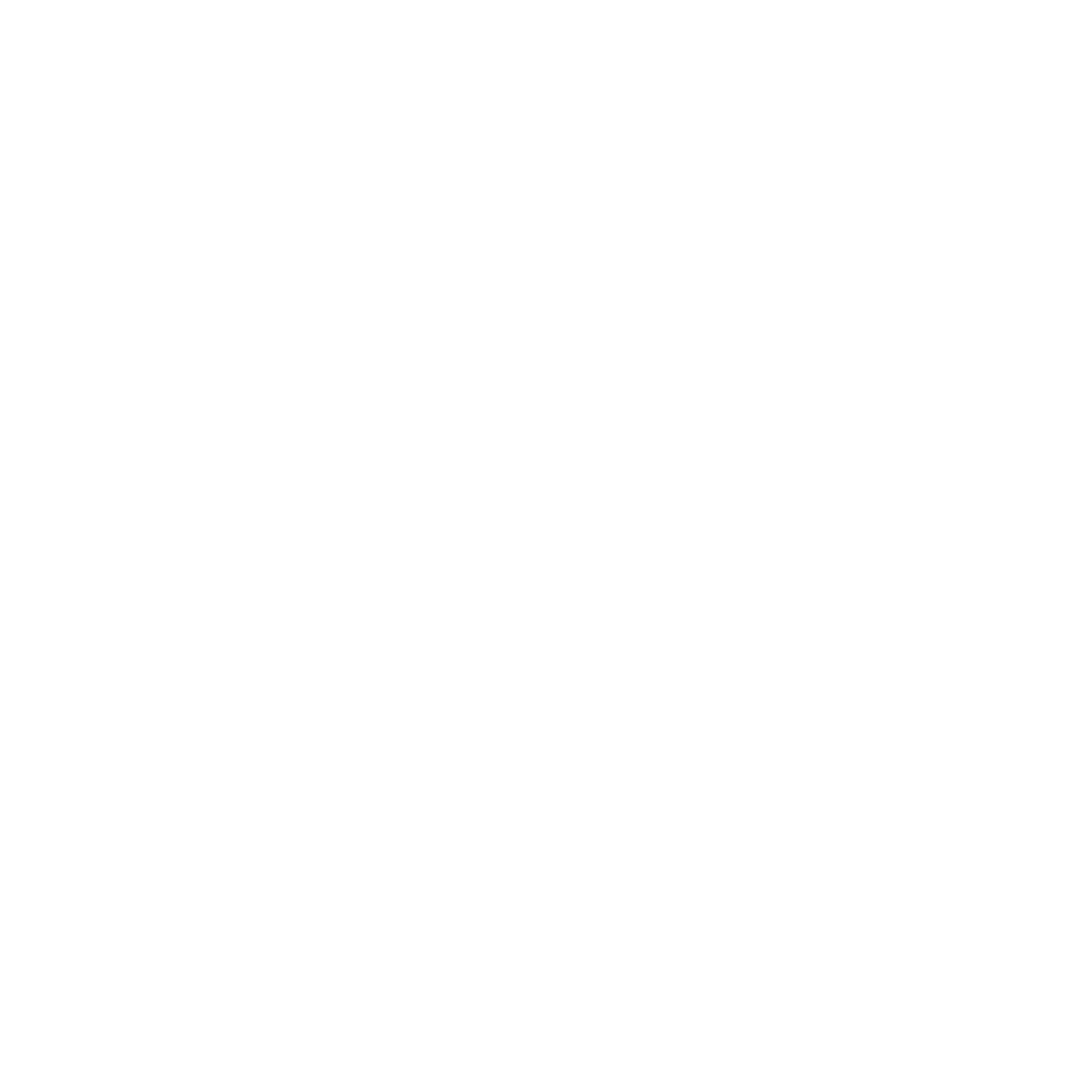 longoria-wright foundation.png