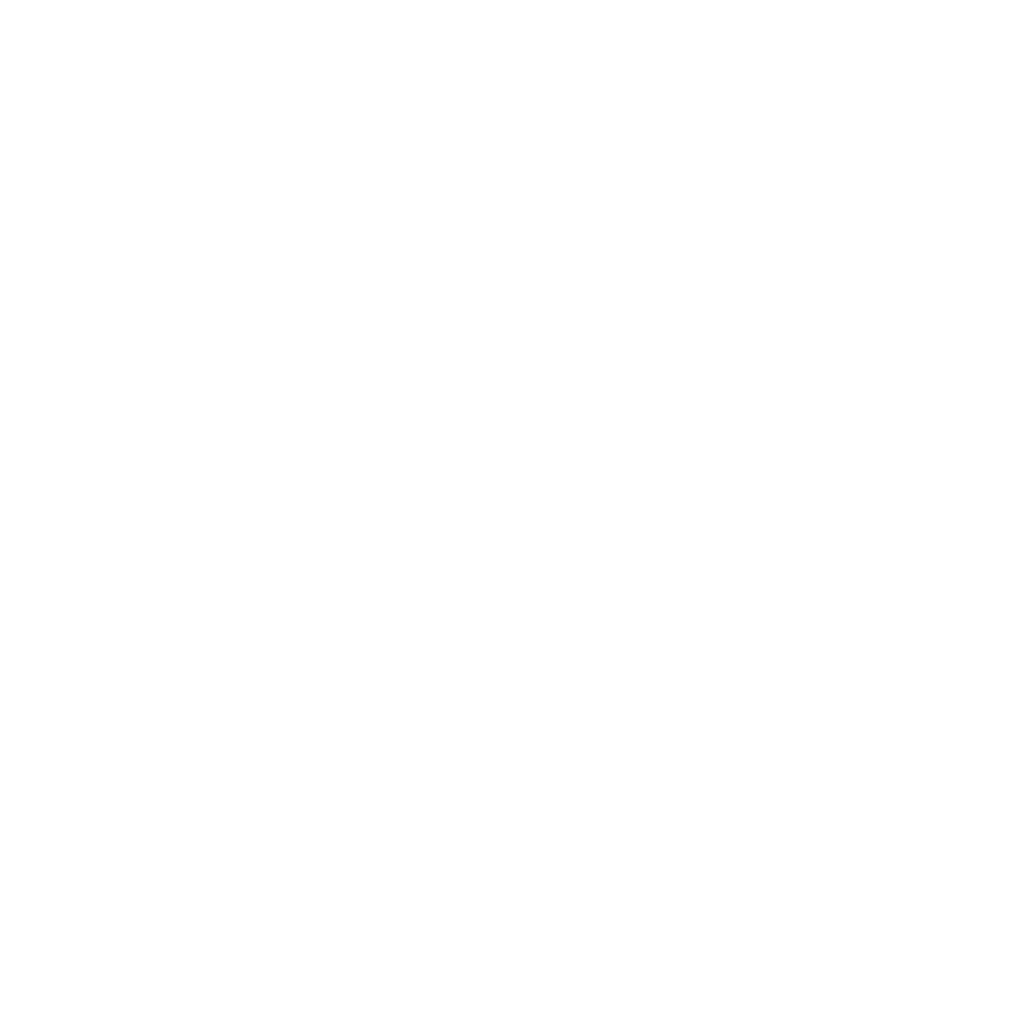 nellson pruett foundation.png