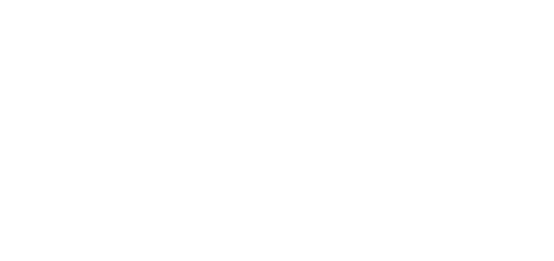 sceneinsa-white.png