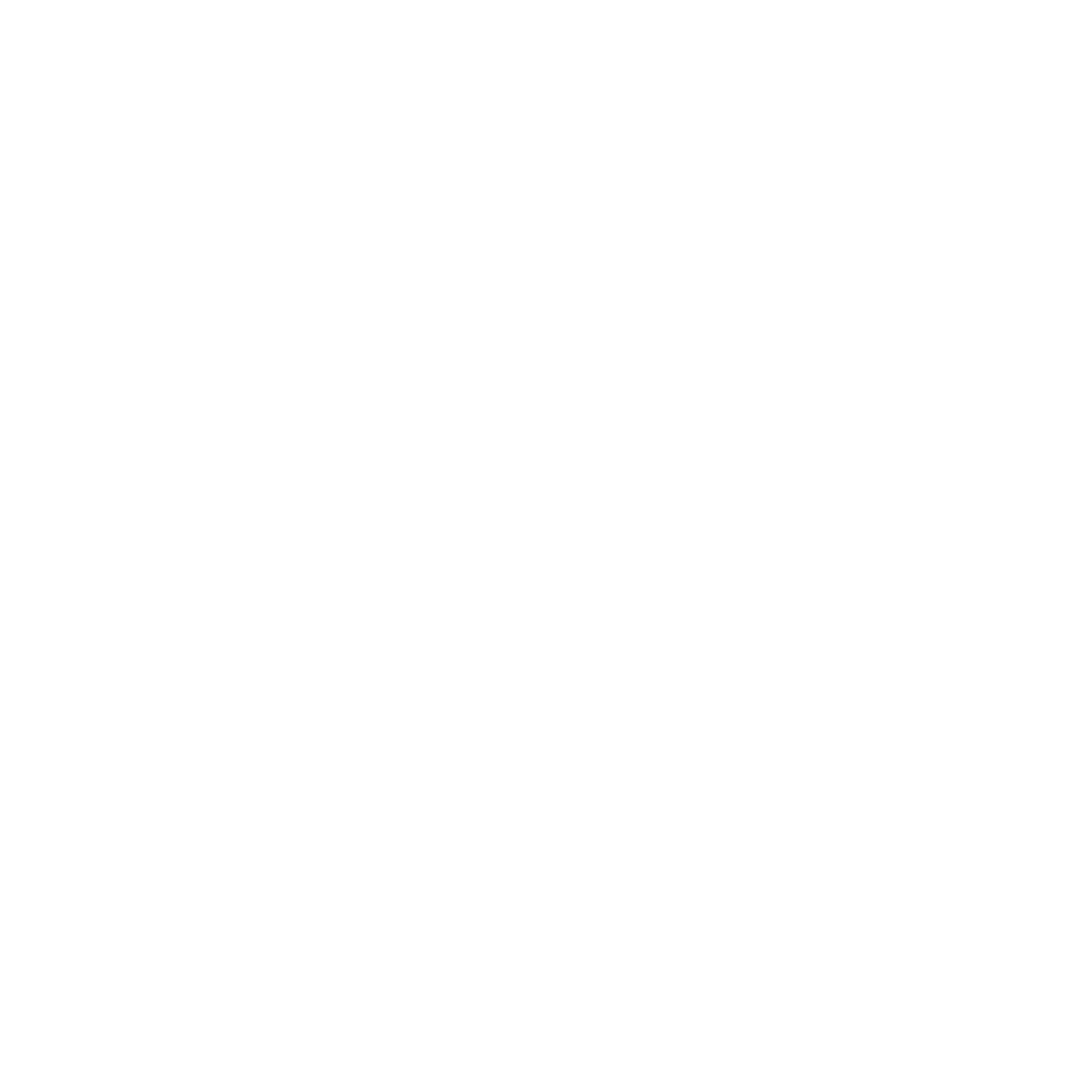 shiner beers.png