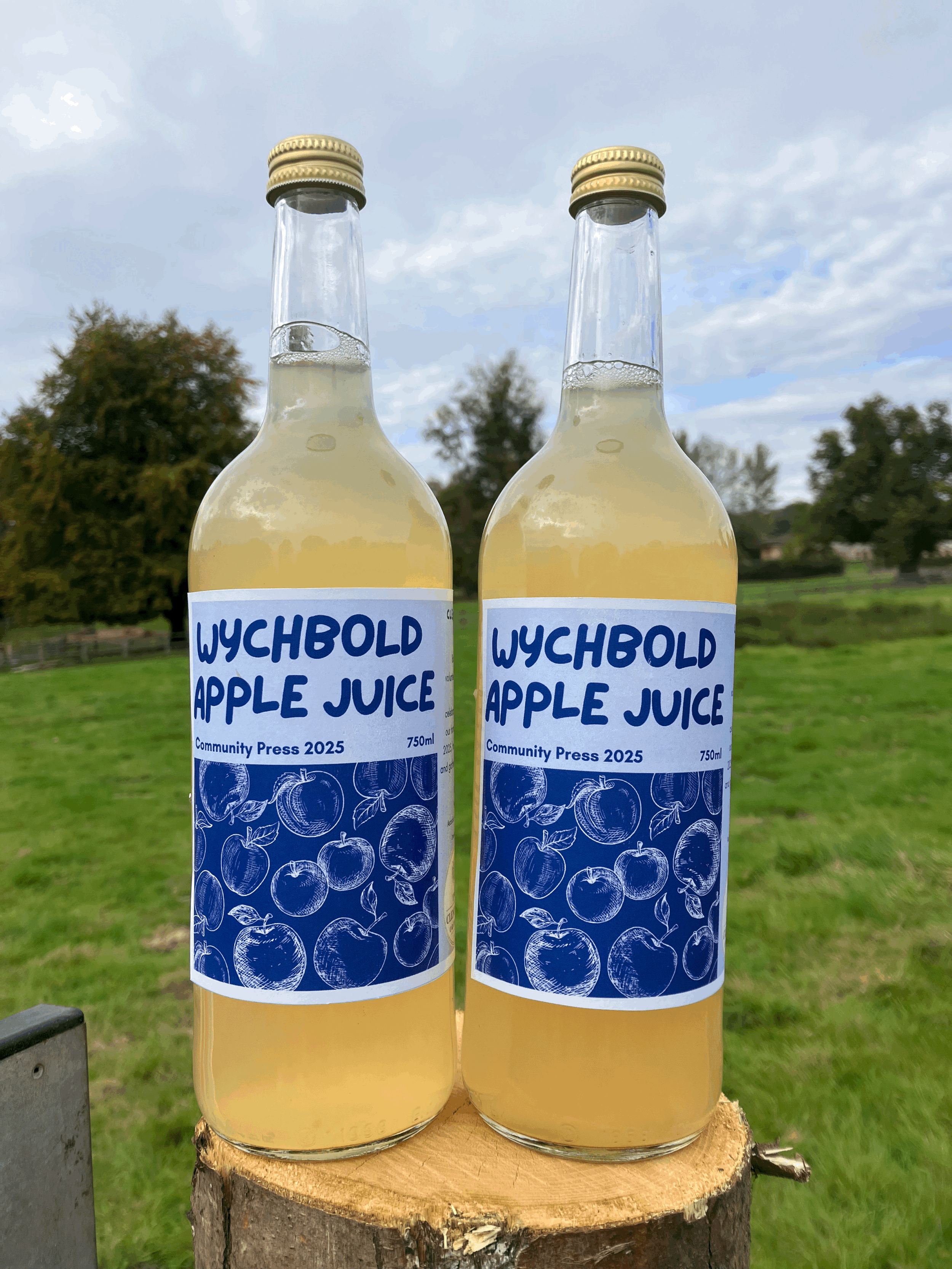 Wychbold Apple Juice 2025 - 750ml