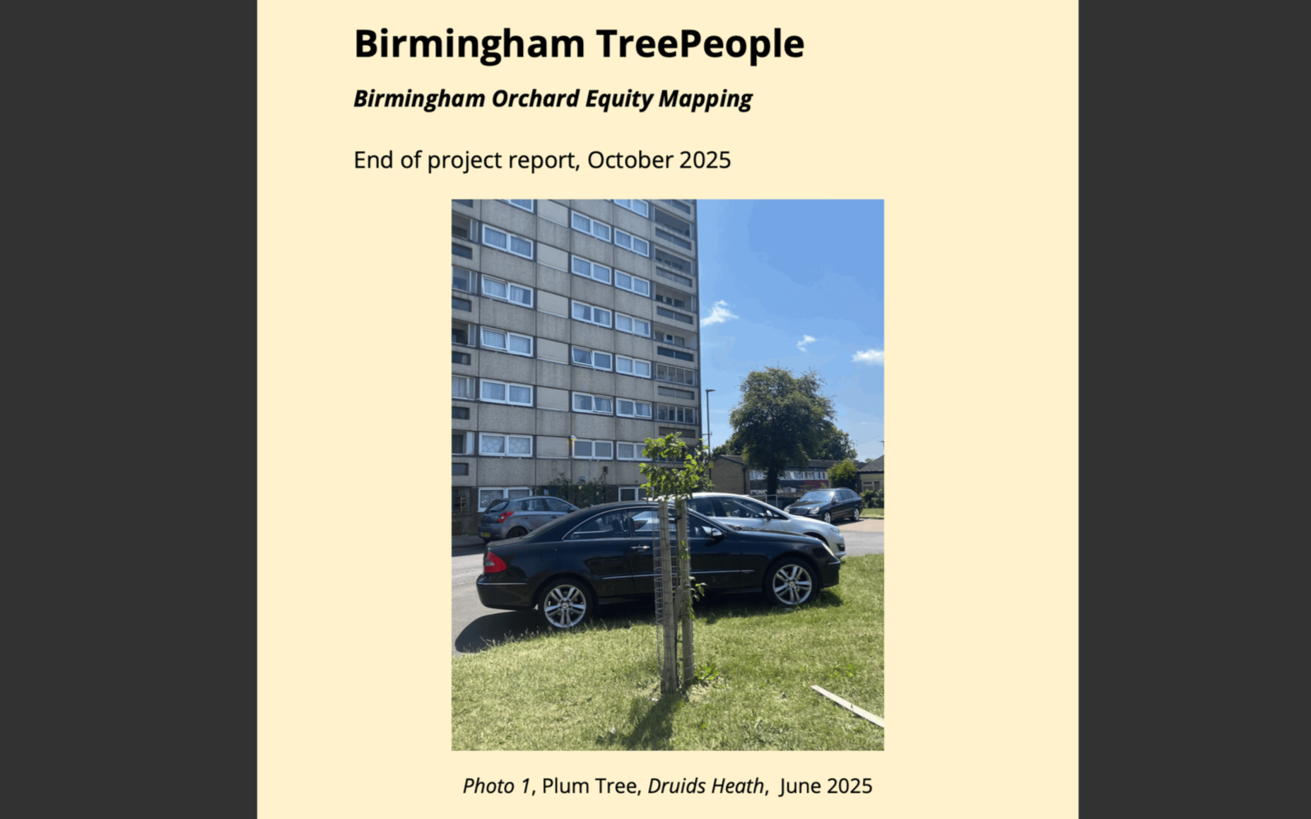 Birmingham Community Orchard Survey 2025