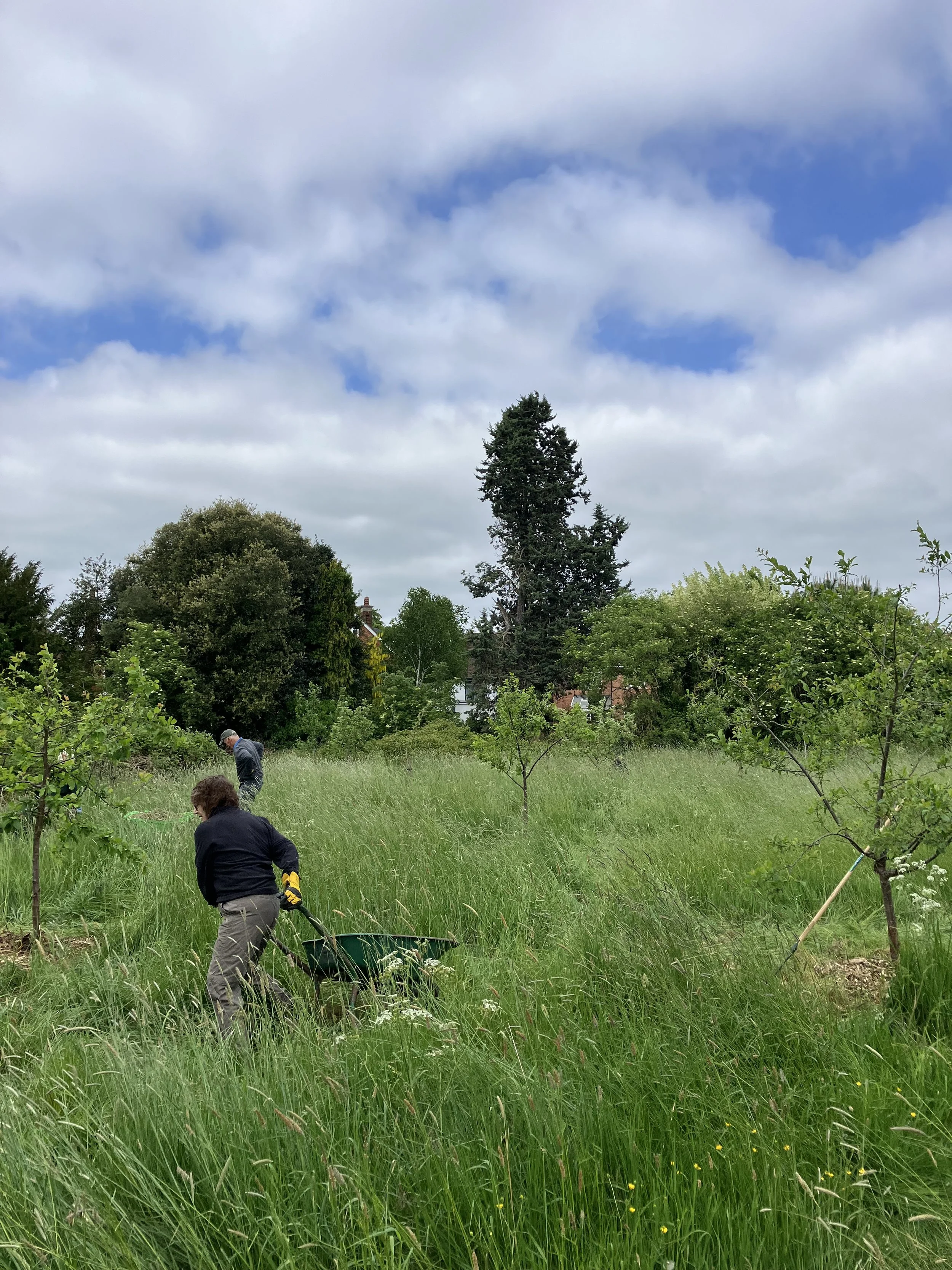 Rowley Fields Orchard, Stratford-Upon-Avon