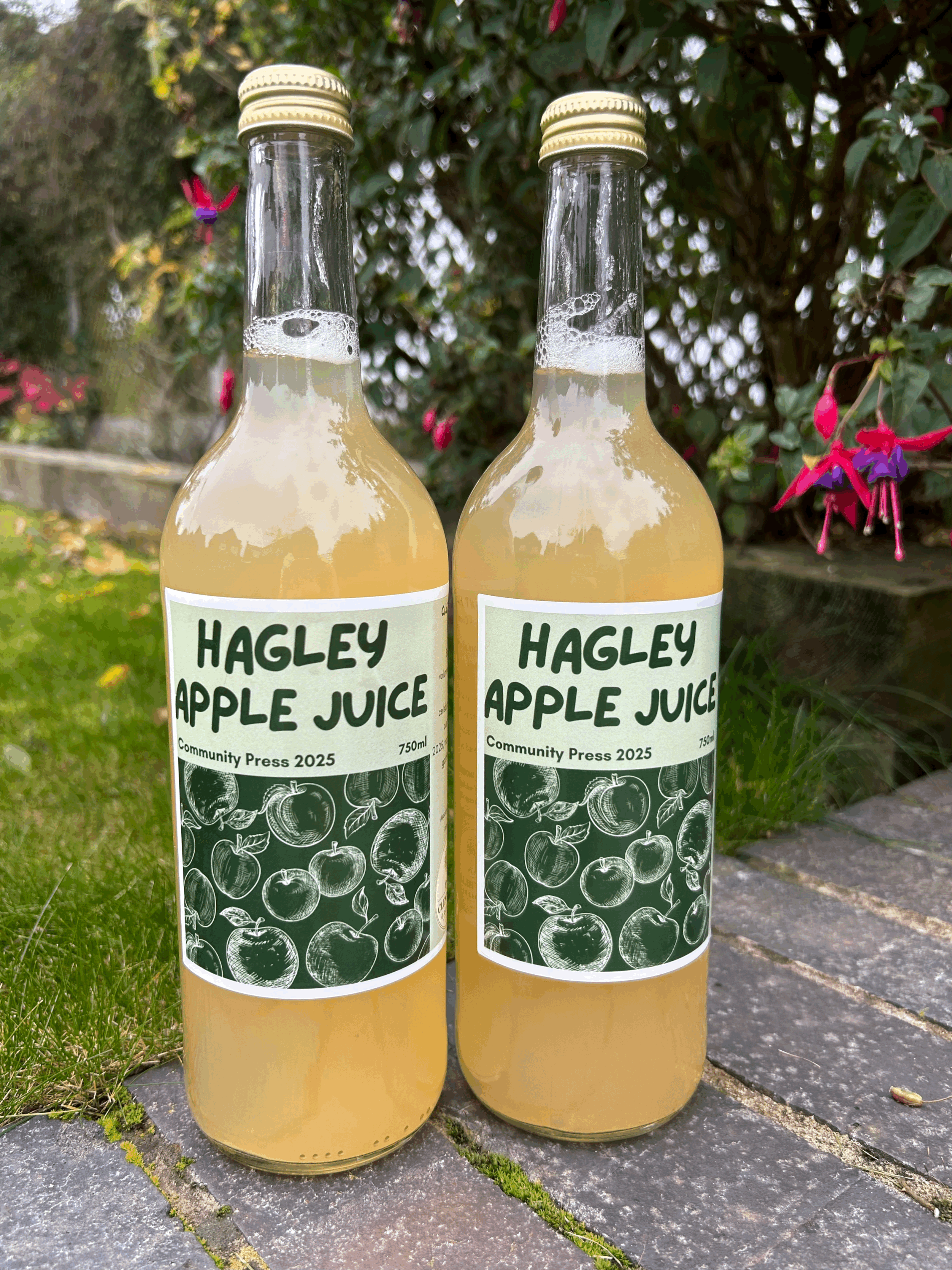 Hagley Apple Juice 2025 - 750ml