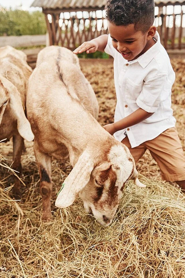 pngtree-a-charming-young-african-american-boy-spends-summertime-with-goats-on-a-farm-photo-image_51081112.jpg