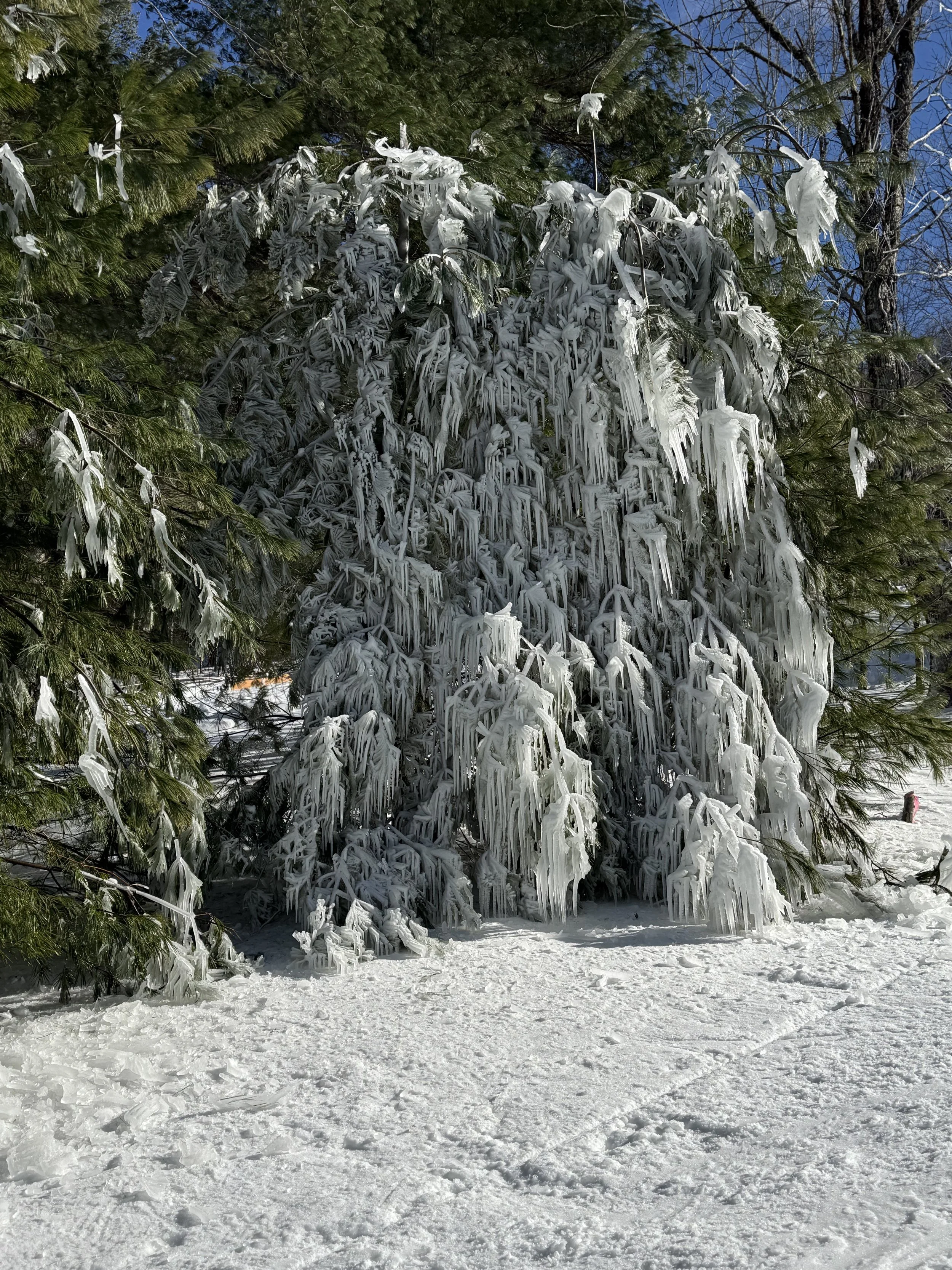 Anti-Diet: Why Fad Diets Are Not Helpful in the Long Run