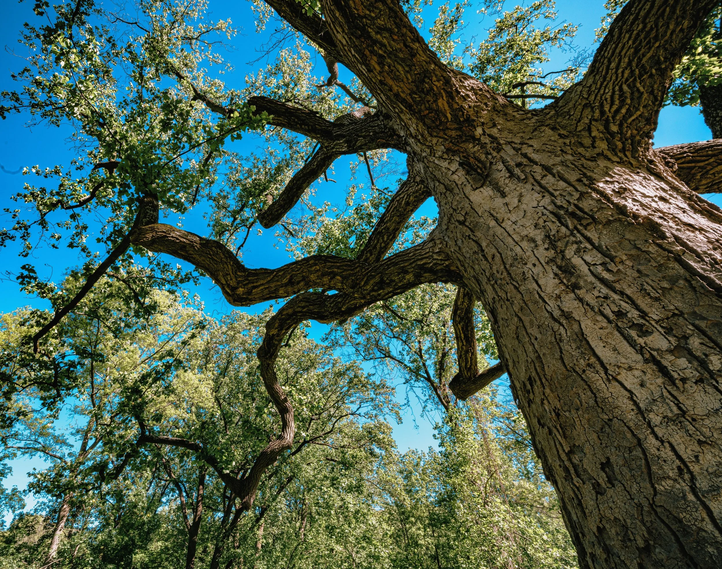 Why Beliefs Matter More Than Circumstances