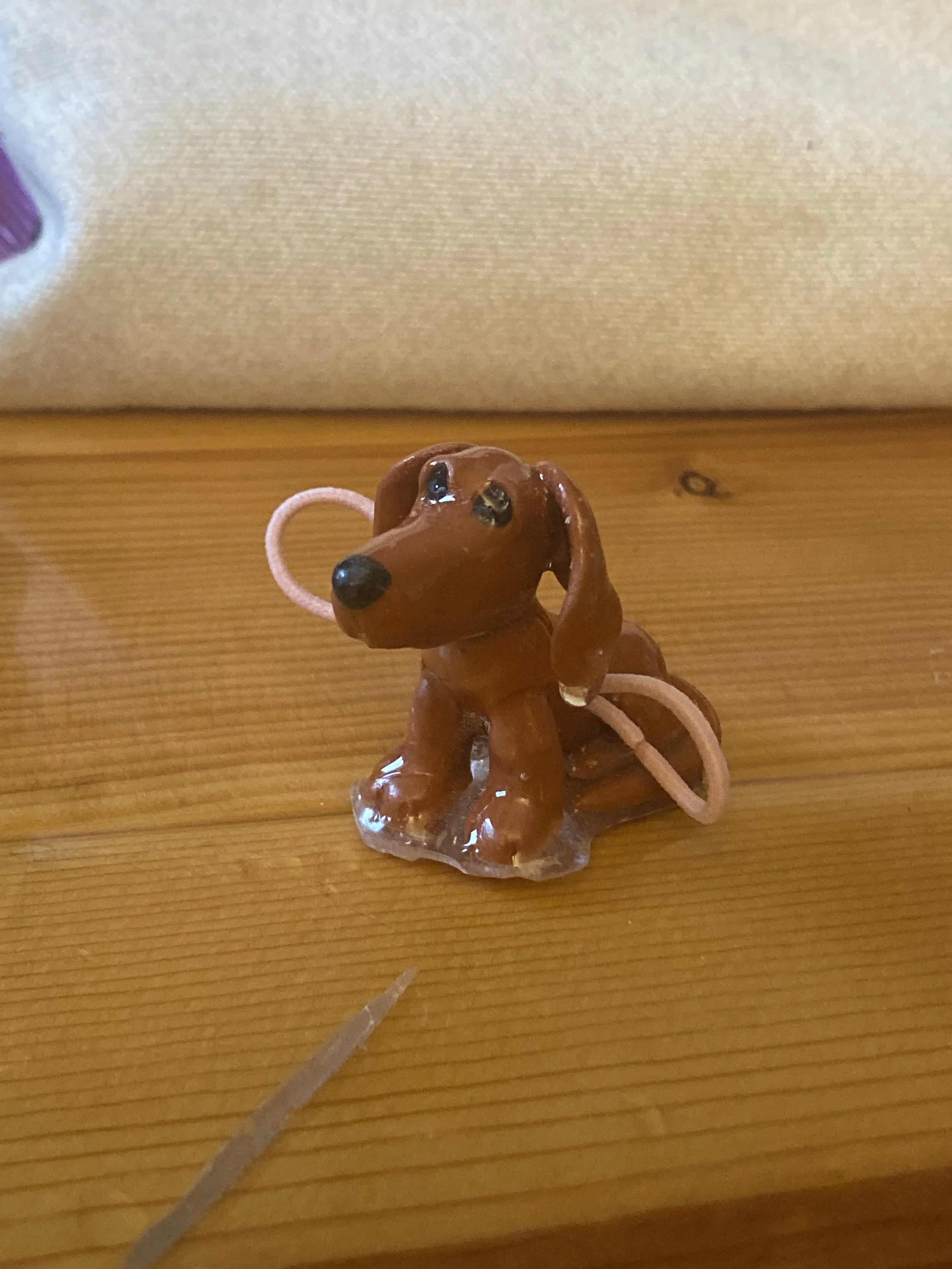Dachshund