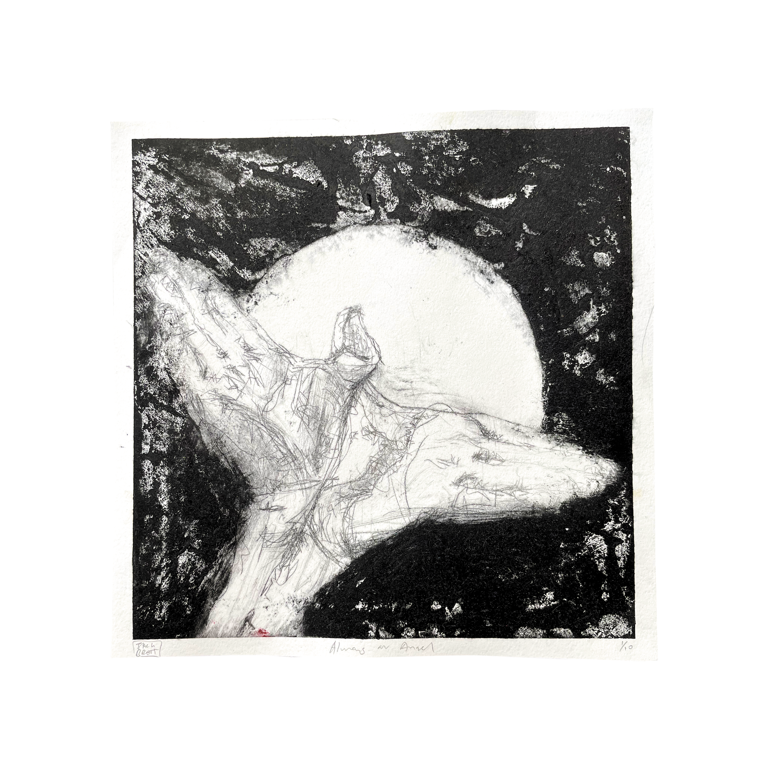 AAA PRINT 9 FINAL 9.png