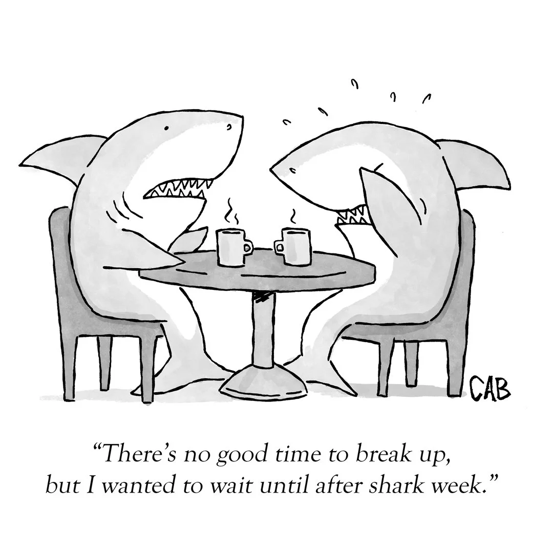 shark.jpg