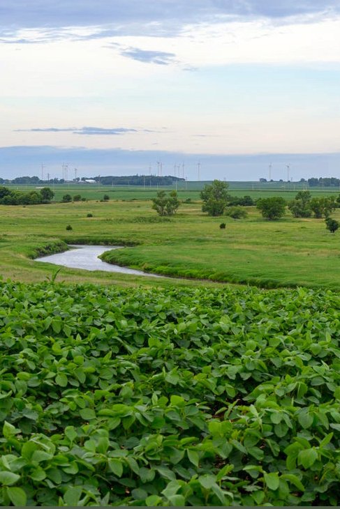 Proceedings Report: Land Use Change Analysis and Assessment Workshop (2023)&nbsp;