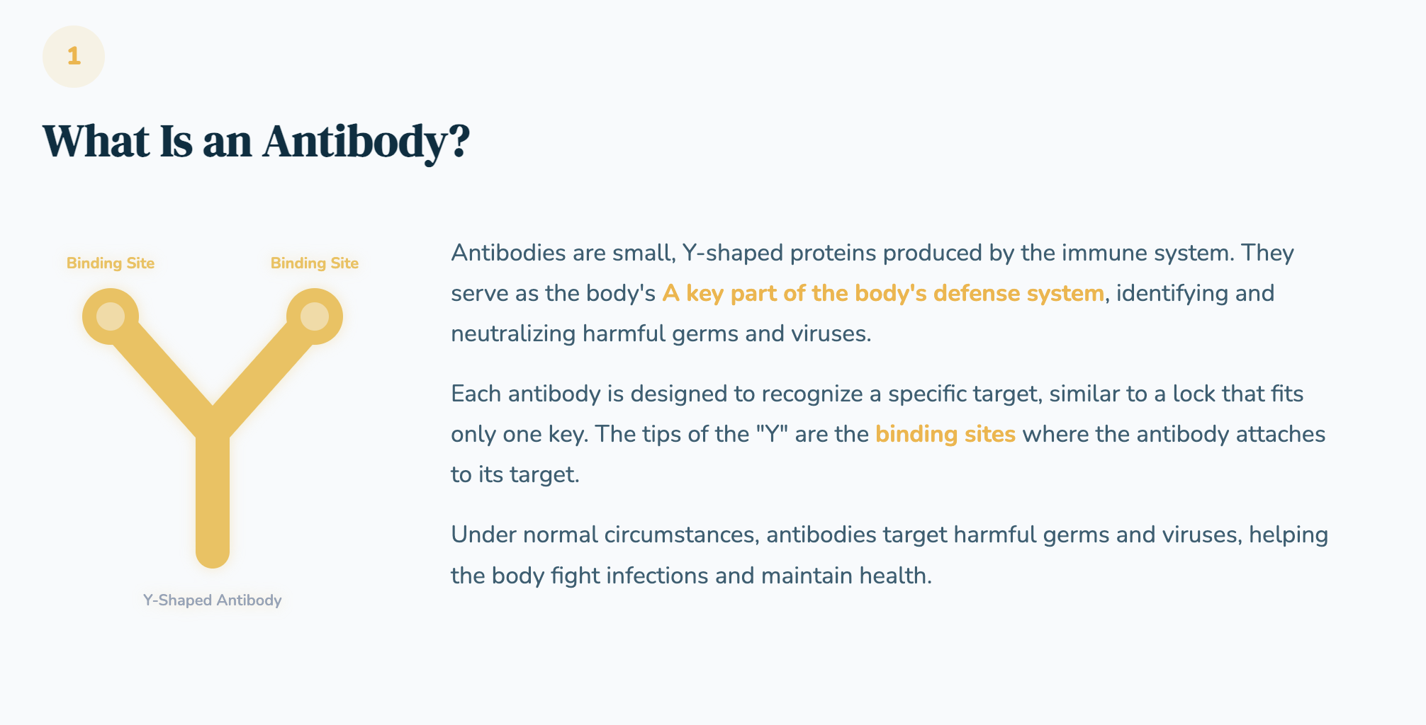 Understanding MAR-Autism 
