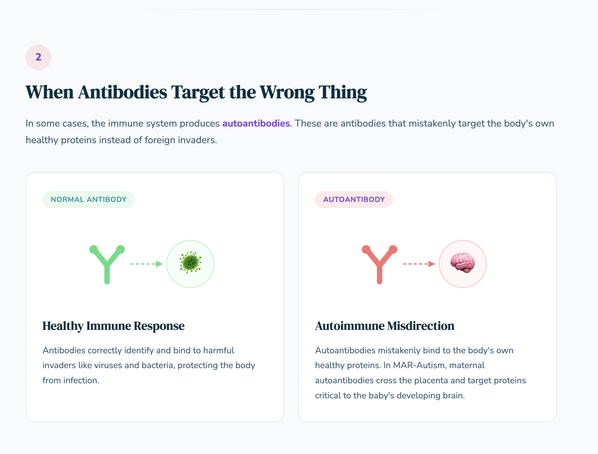 When Antibodies Target the Wrong Thing