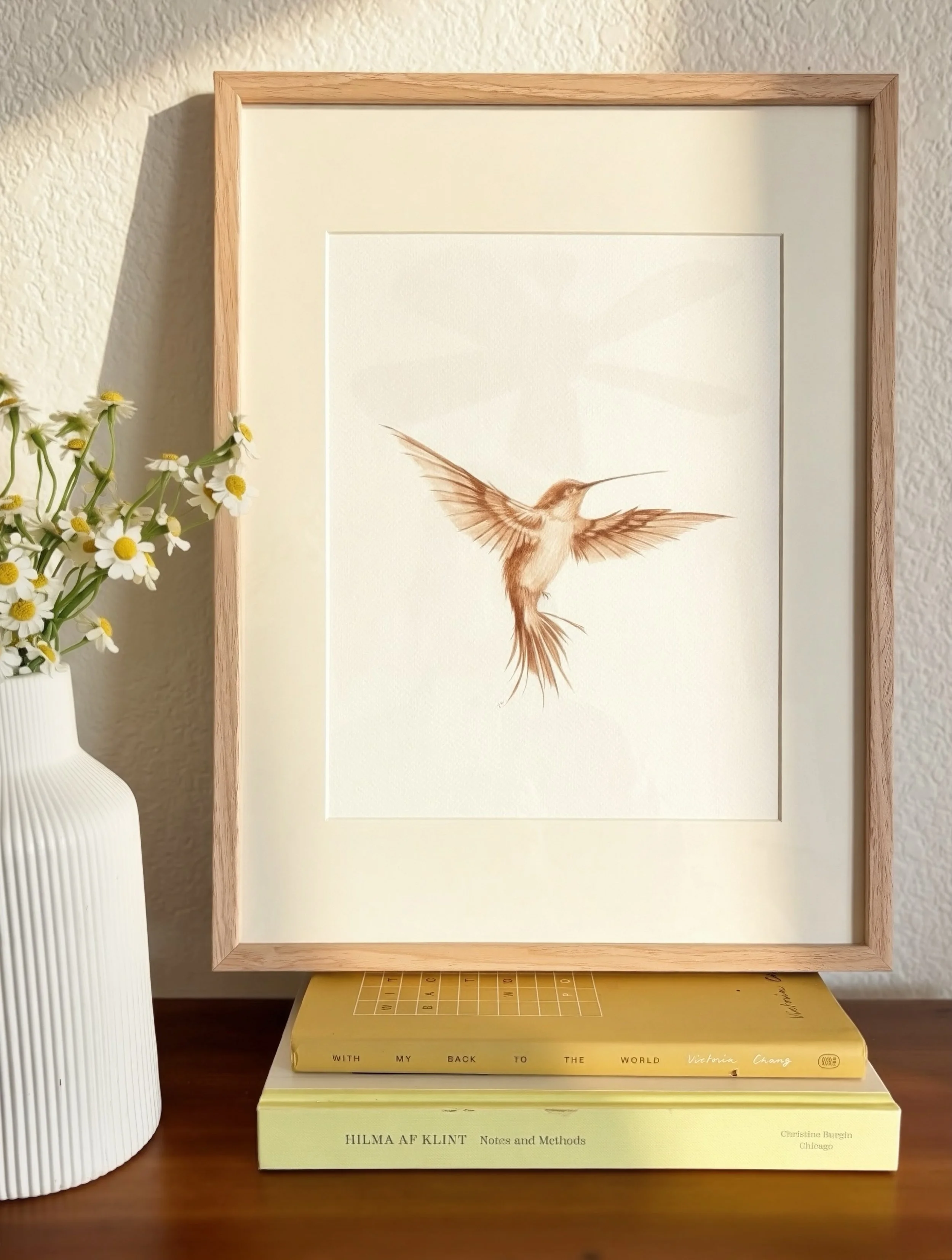 Jasper hummingbird.JPG