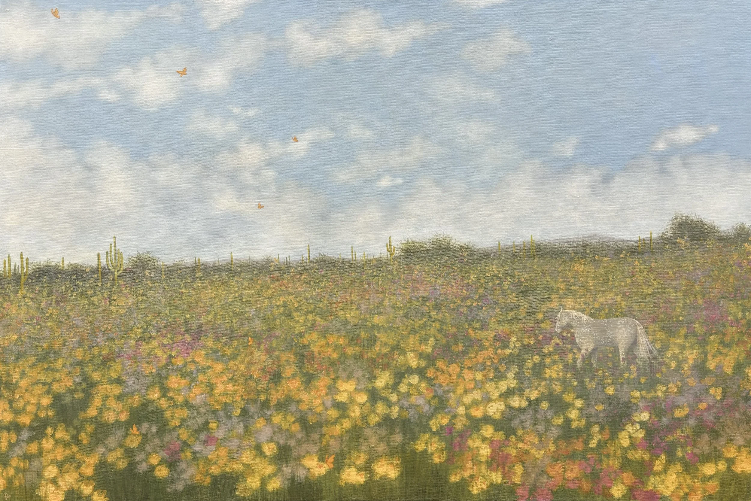 Wildflower Dream.jpeg