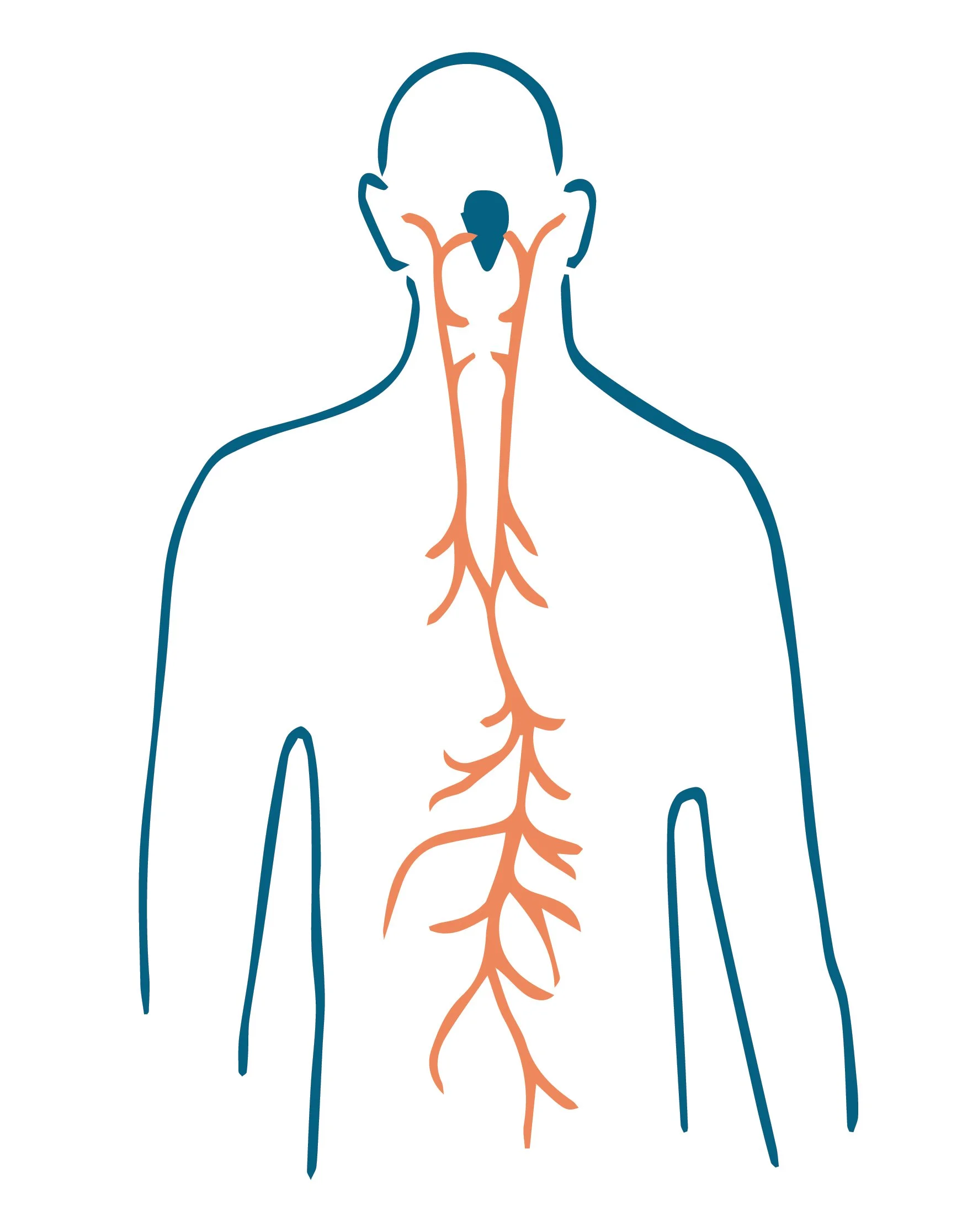 Weekly diagrams-08.jpeg