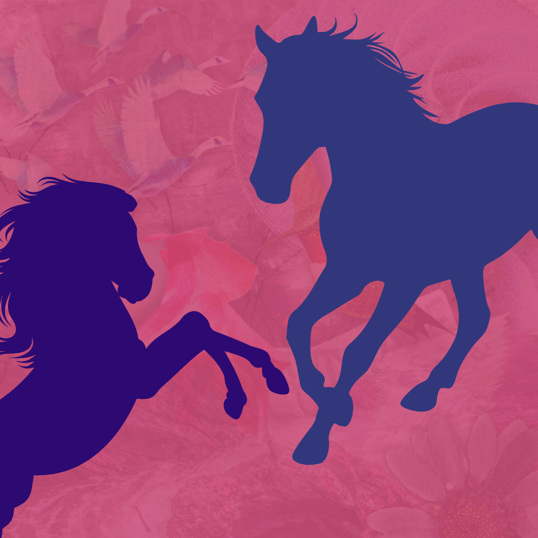 Silhouettes of two rearing horses in dark blue against a pink background with a floral pattern and flying birds.