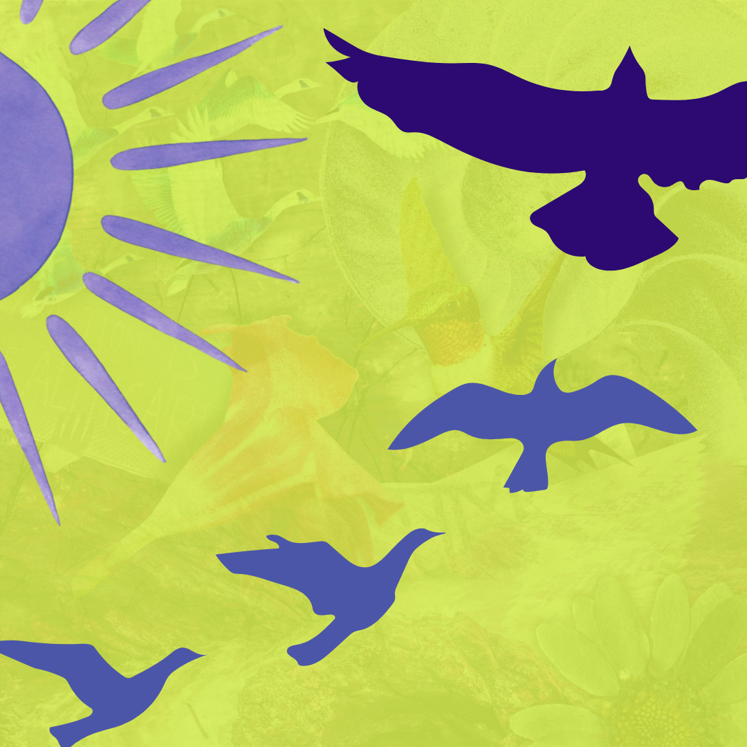 Silhouettes of four flying birds against a colorful abstract background with yellow and purple accents.