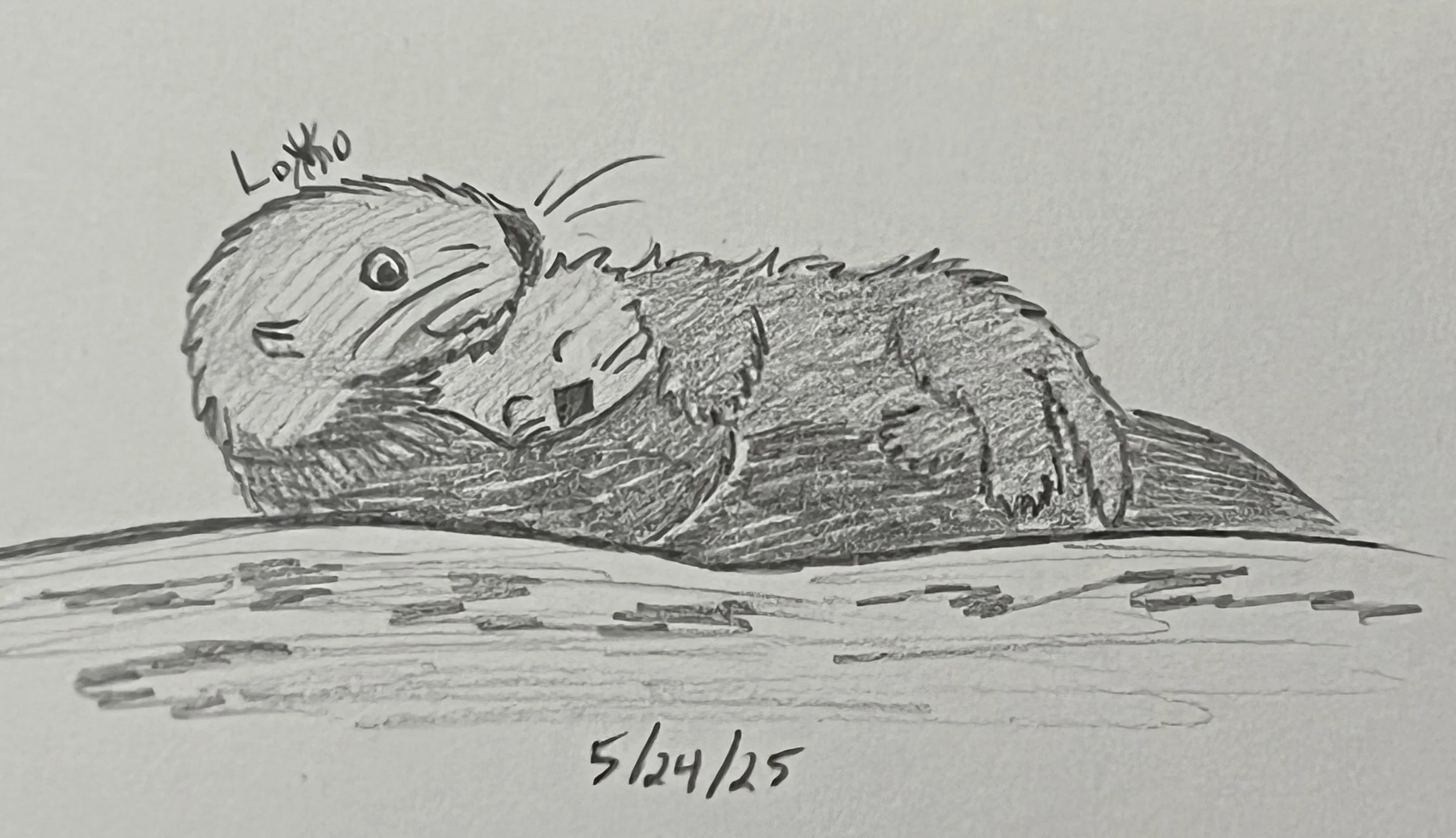 A mother sea otter cuddling with her baby