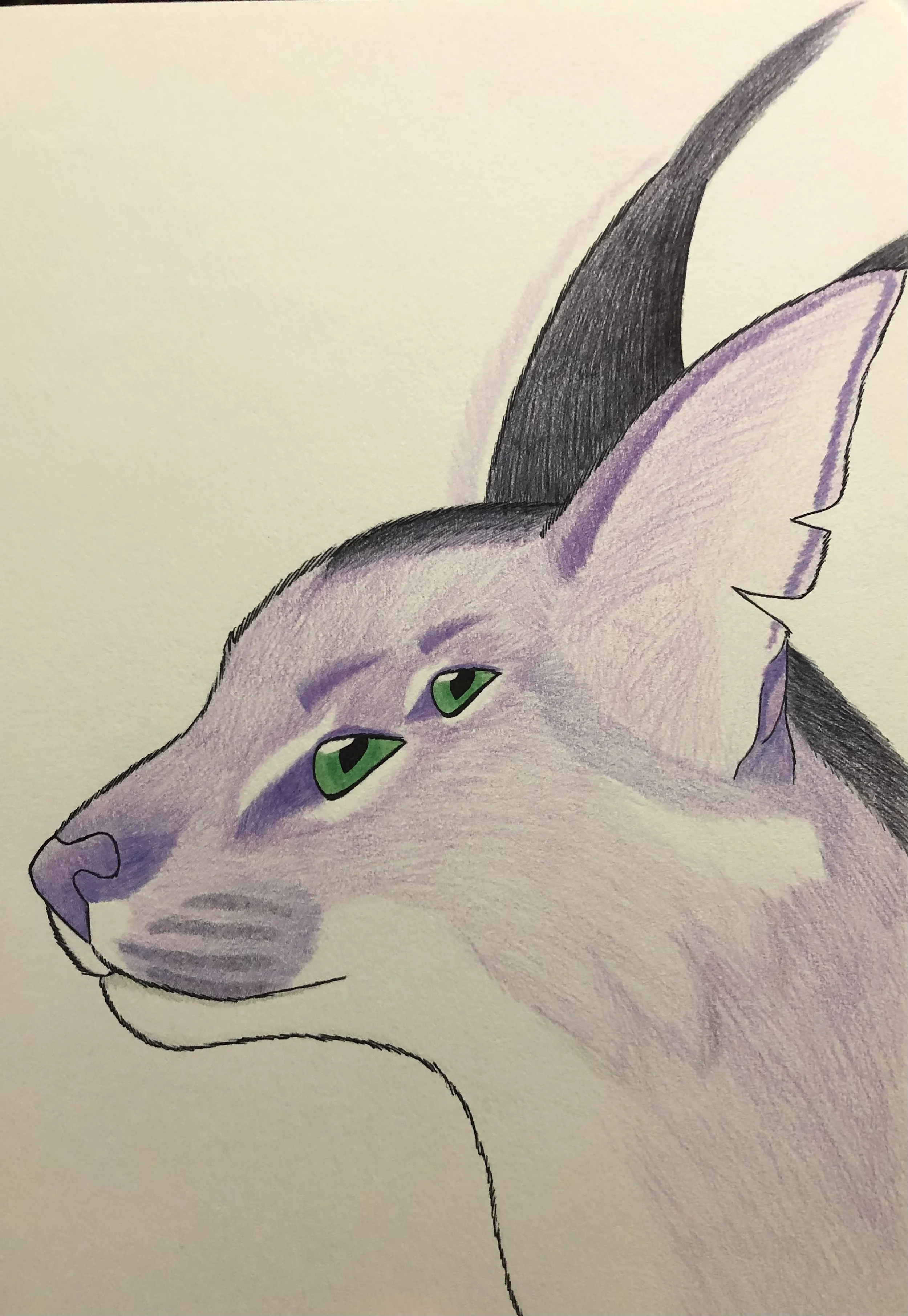 Colored pencil drawing featuring one of my four-eyed alien cats