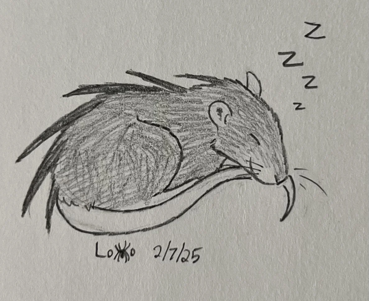 A snoozing, spiked alien rat that I designed