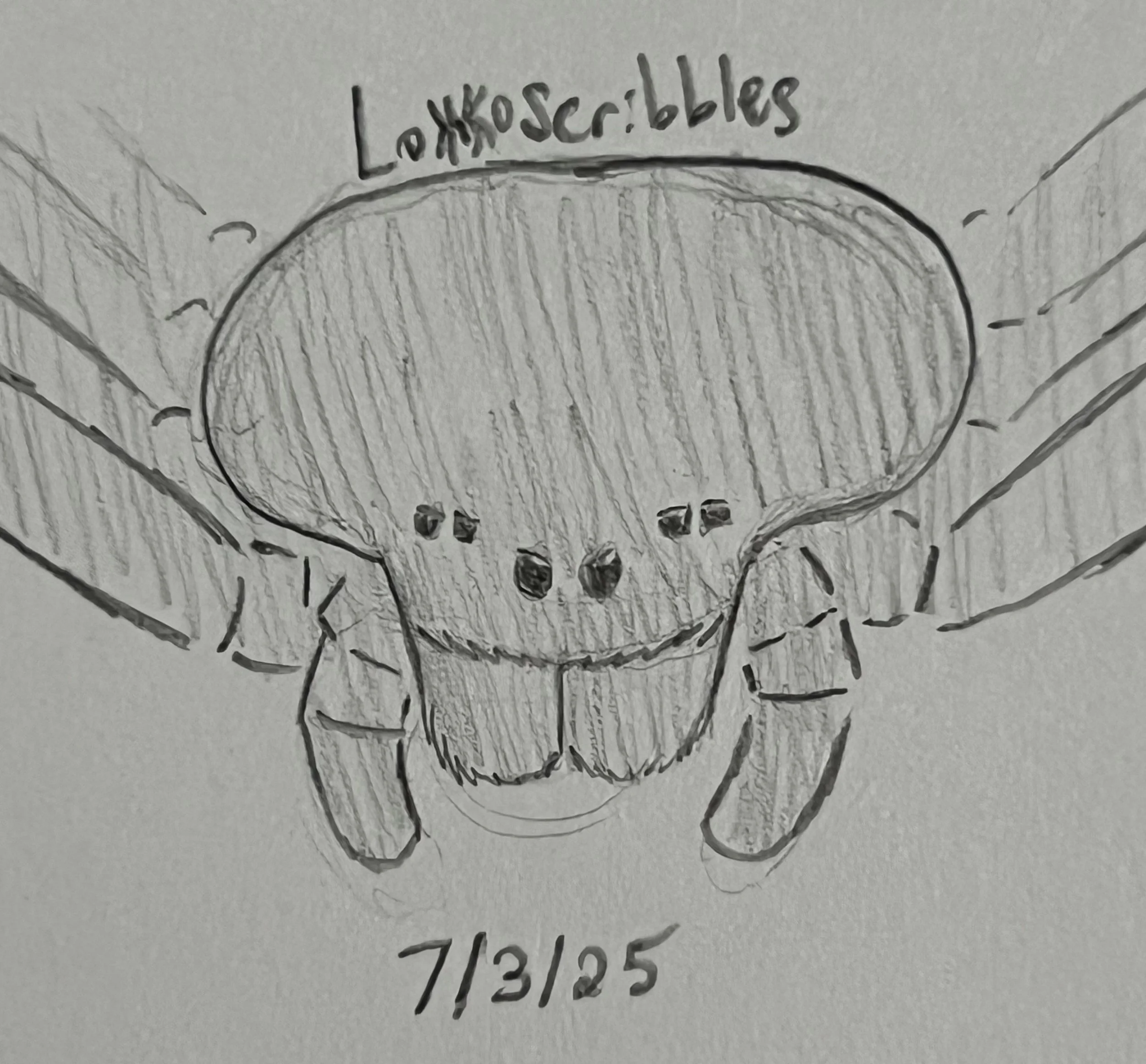 Six-eyed sand spider