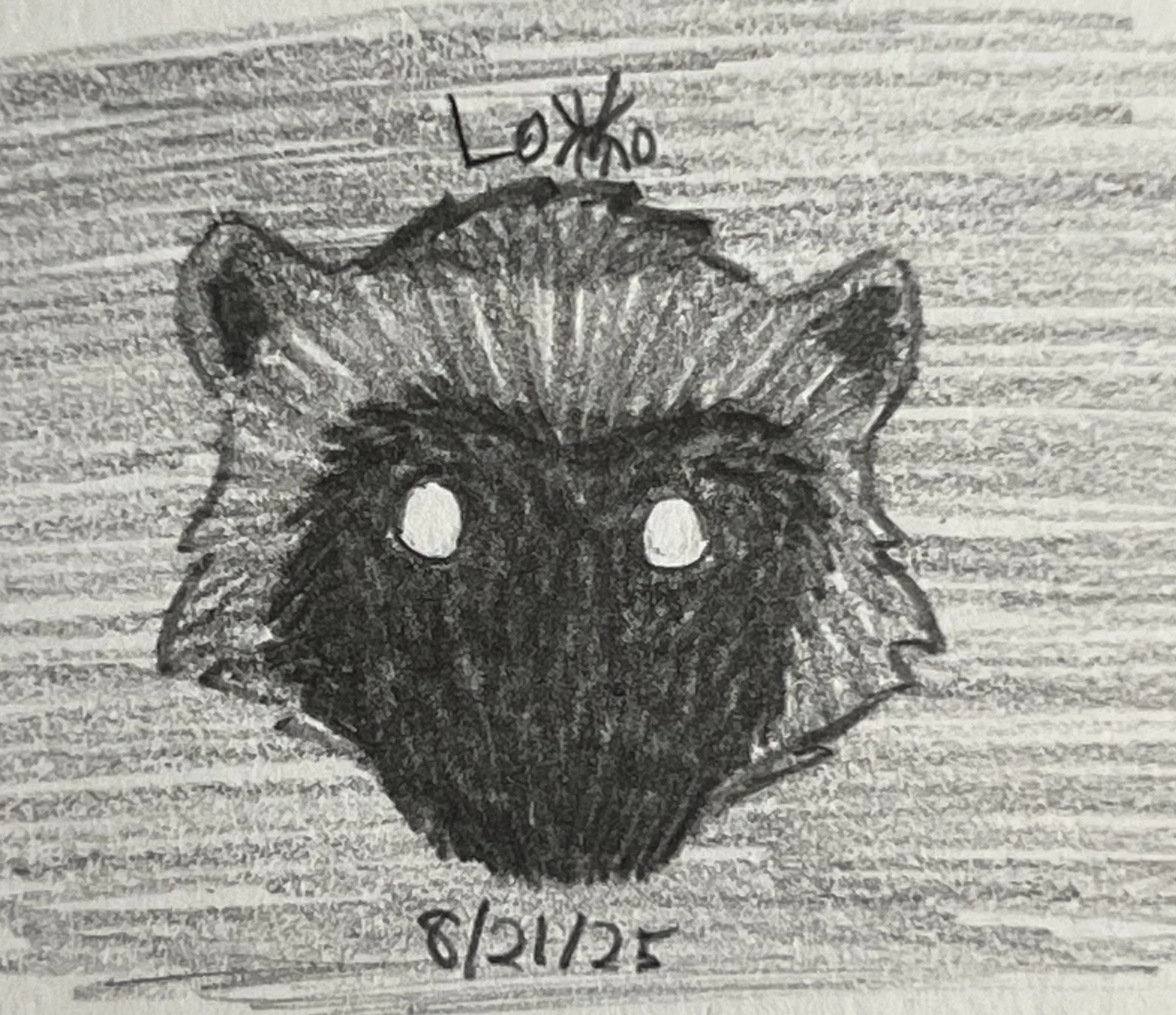 Wolverine with reflective eyes