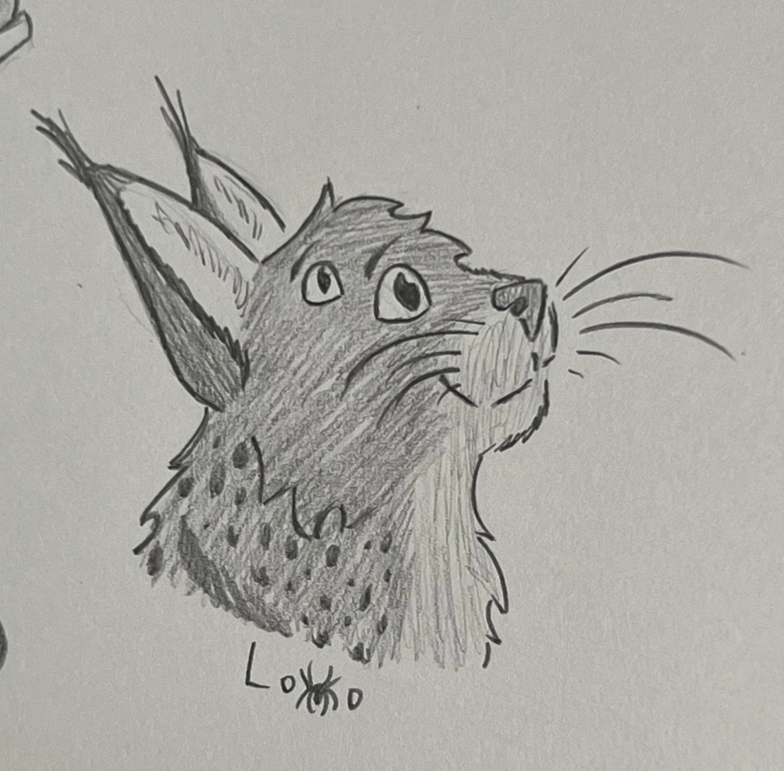 One of my four-eyed alien cats