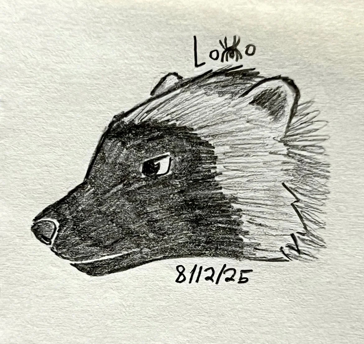 Wolverine