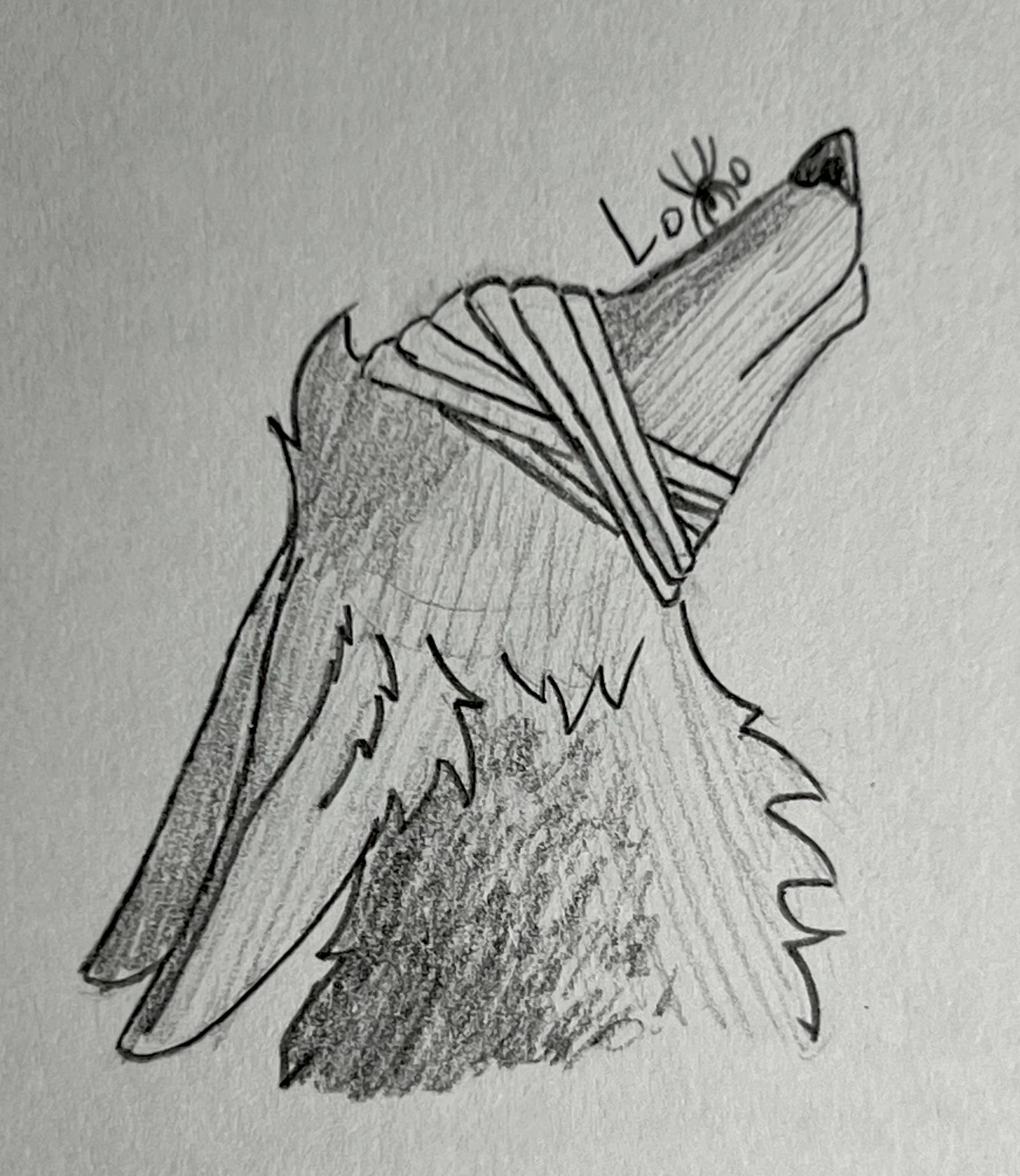 A friend's canine character