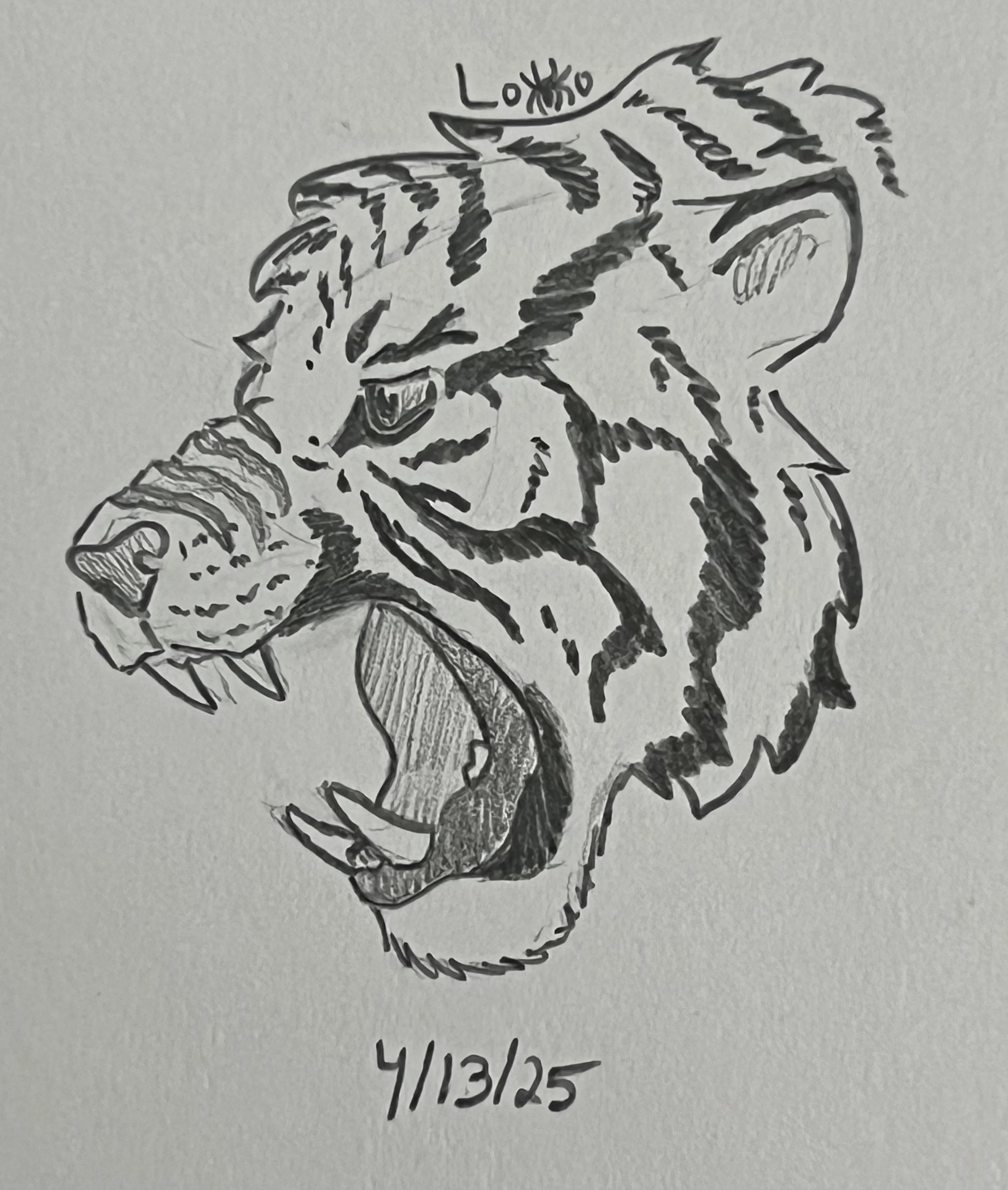 Tiger