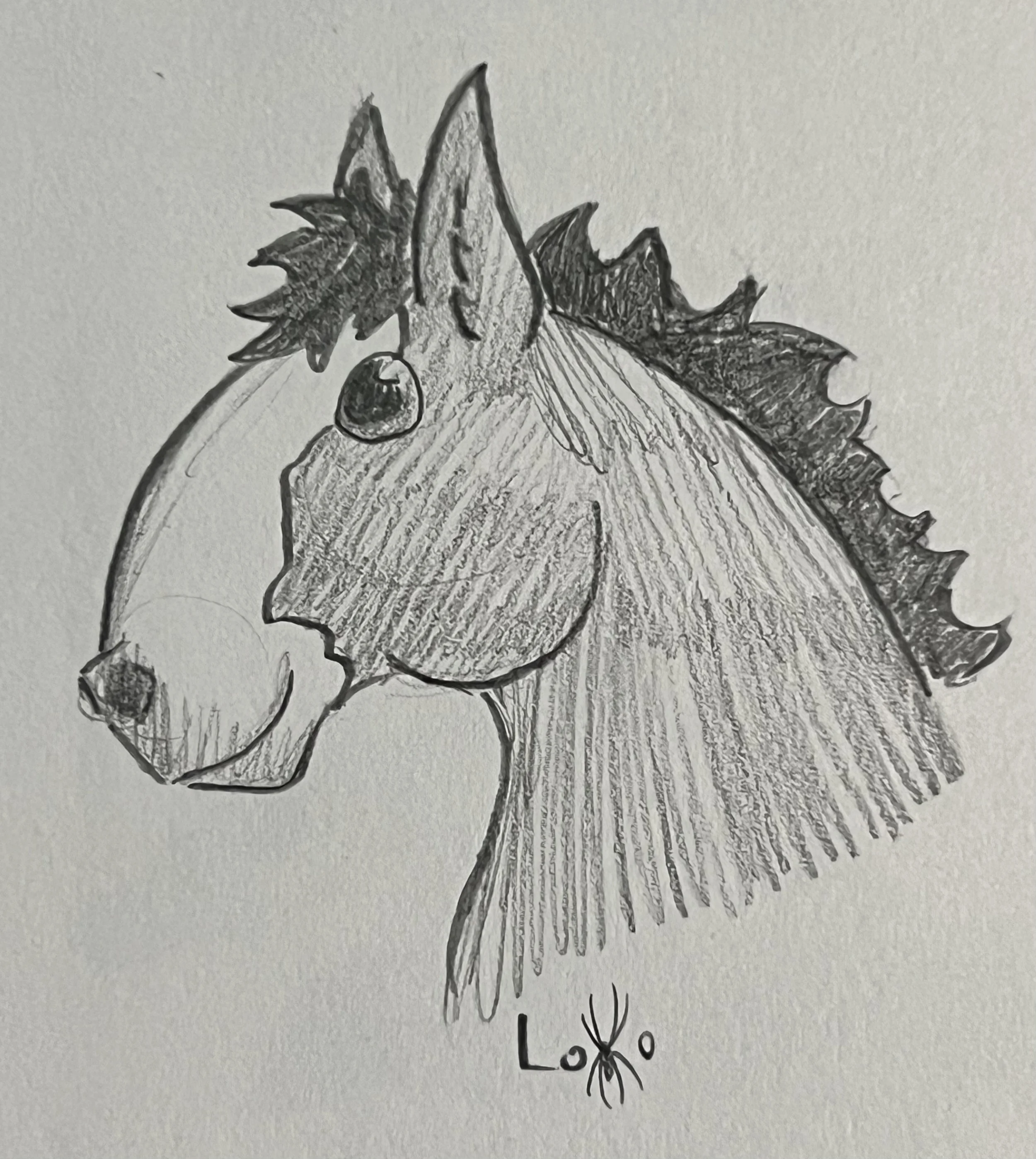 Horse foal