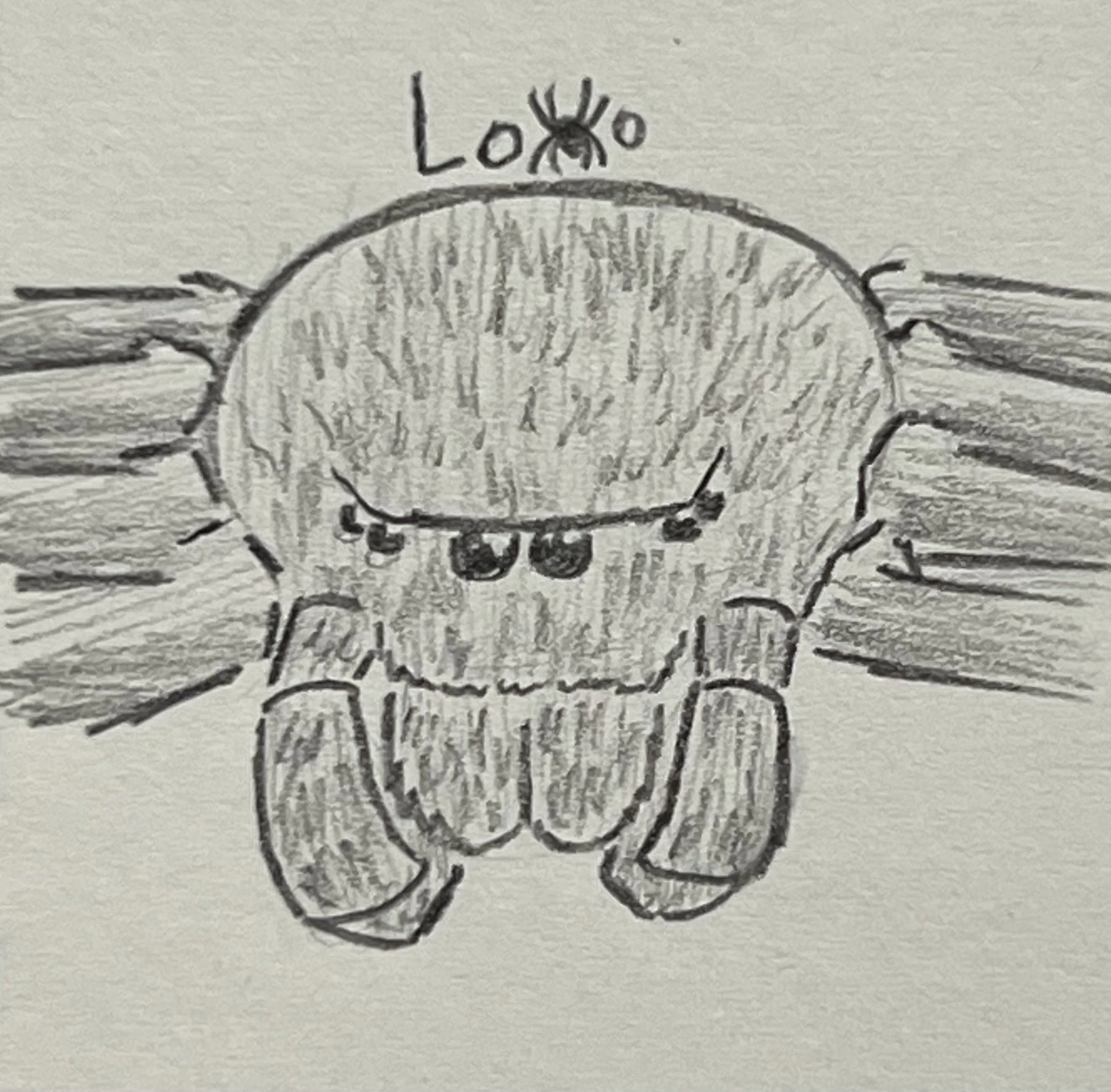 Six-eyed sand spider