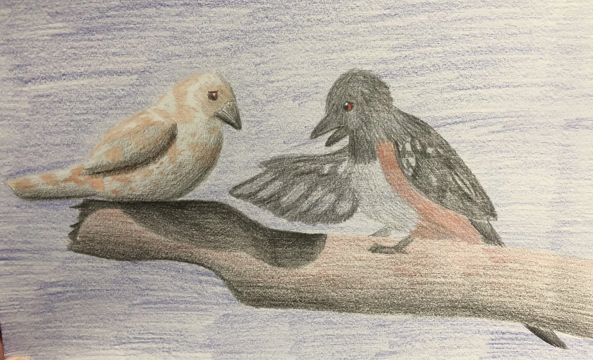 Two bird characters from my fiction story Second Chance