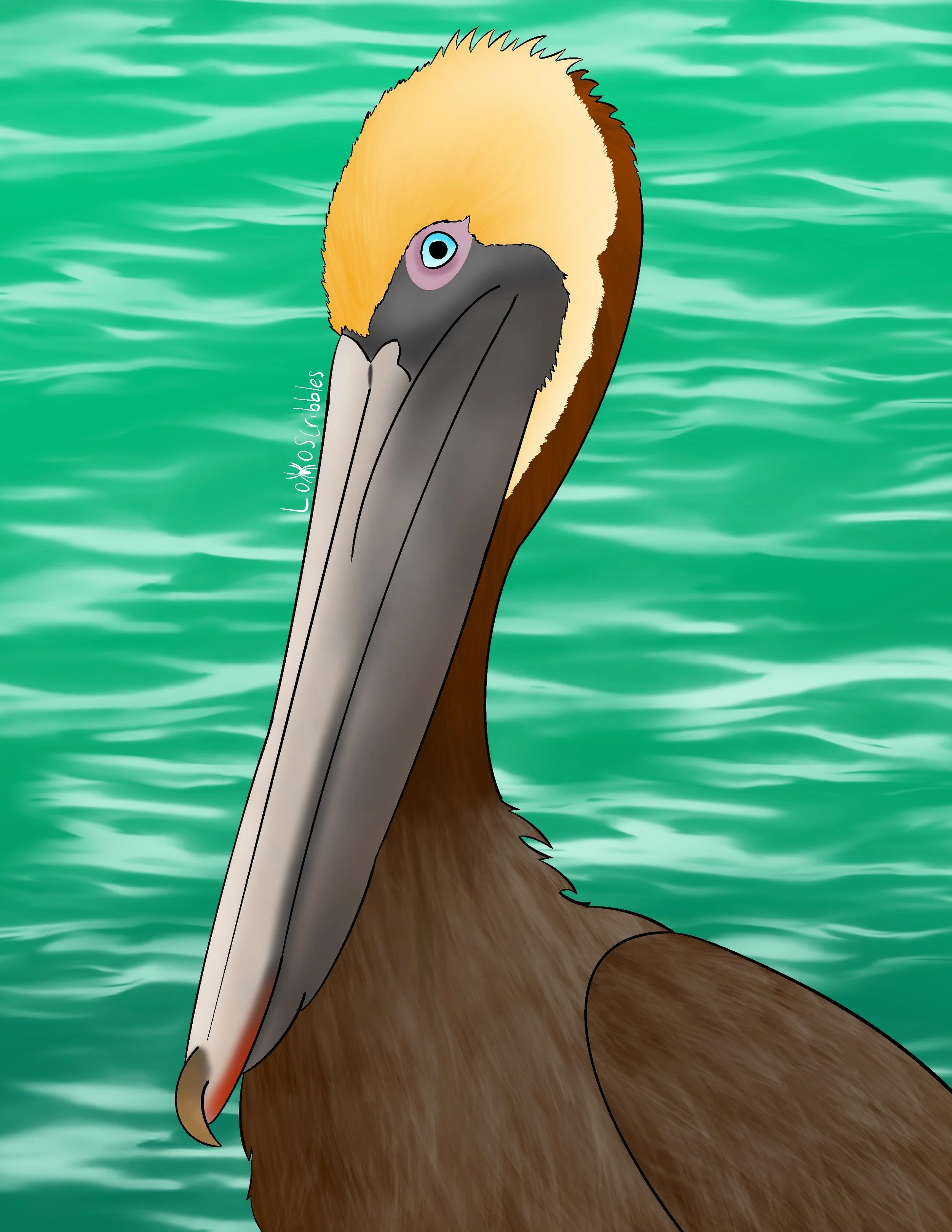 Illustration of a brown pelican