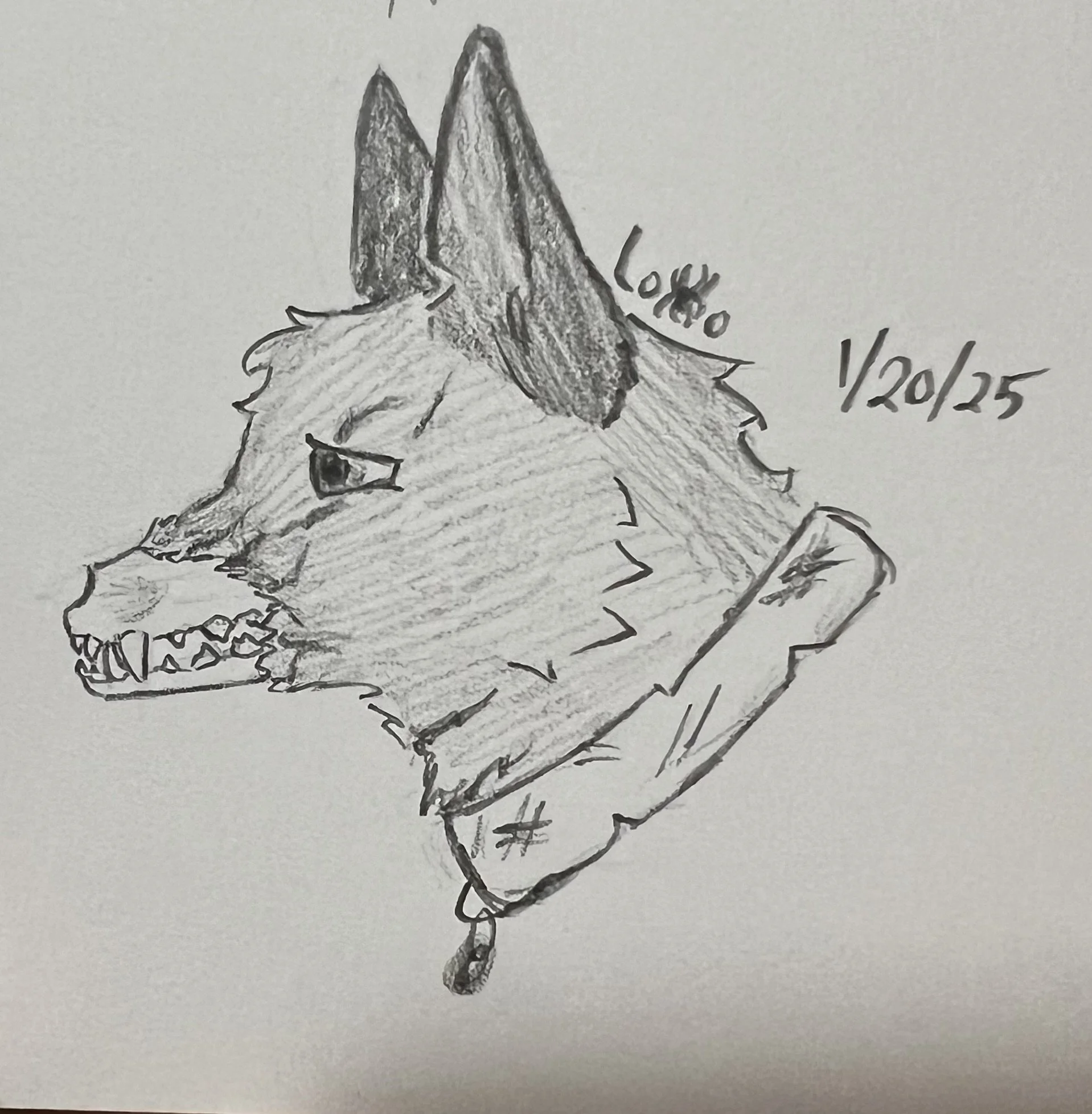 A friend's canine character