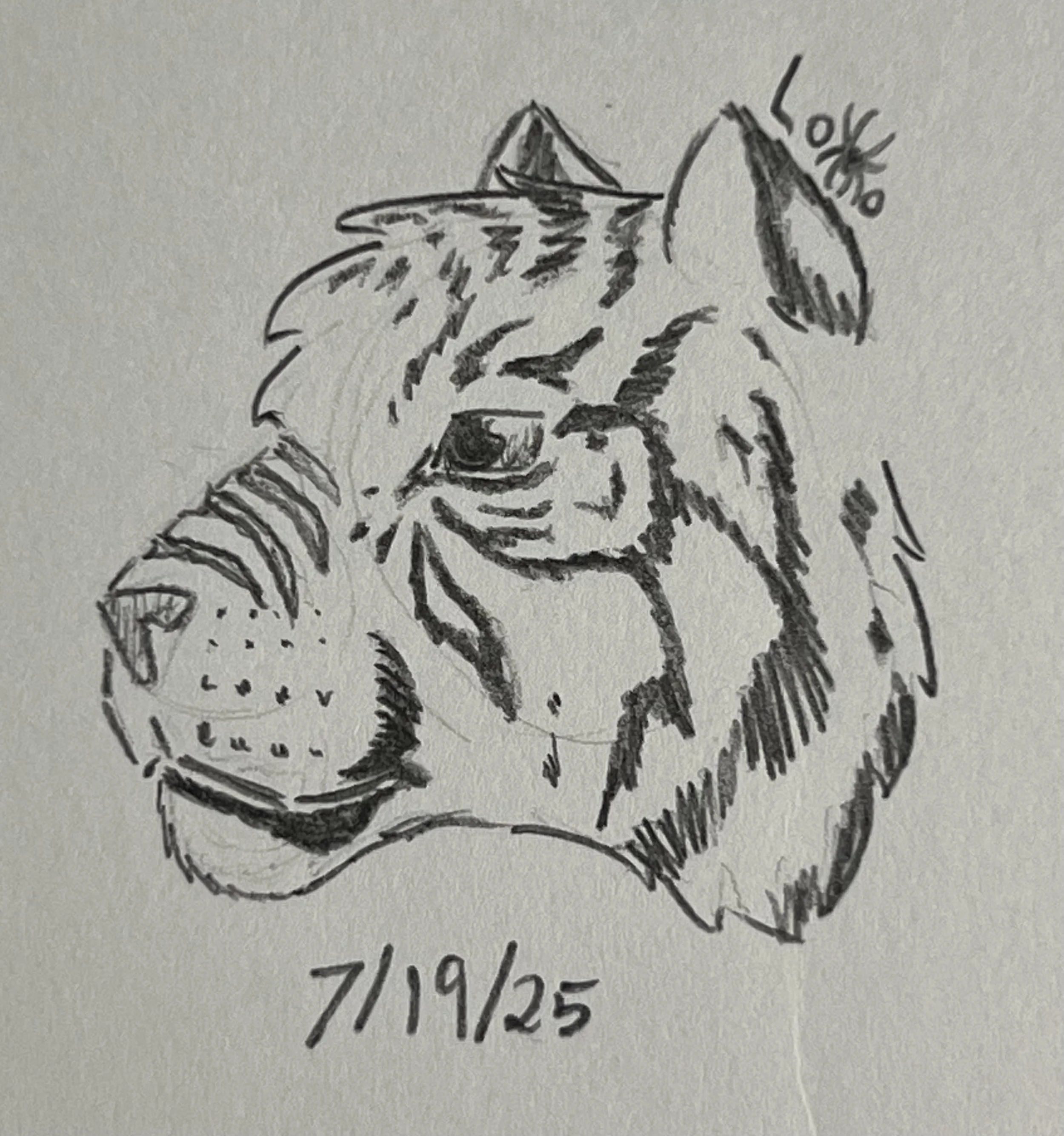 Tiger