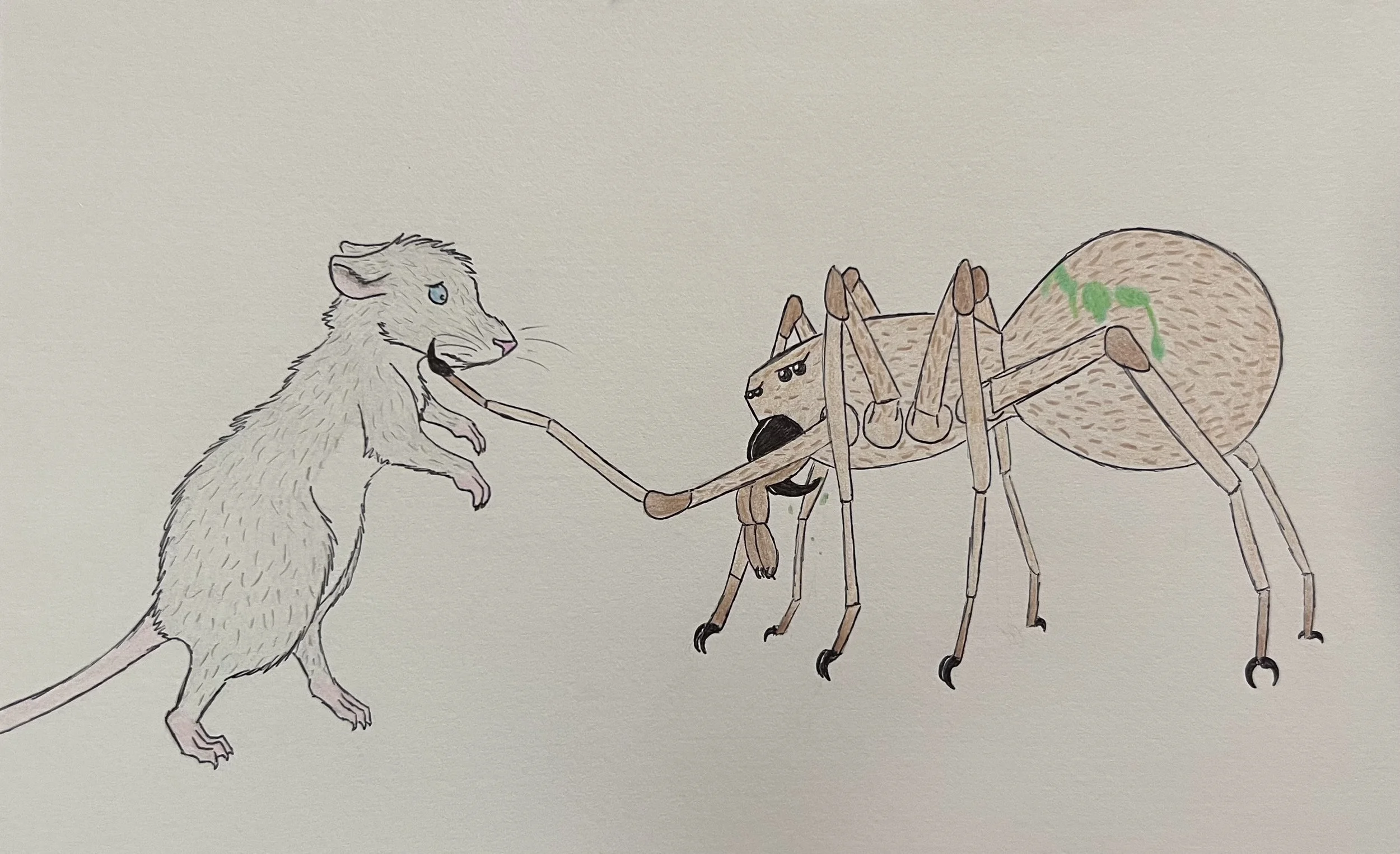 A colored pencil drawing featuring a mouse and spider character from my fiction story Arachnid Assault