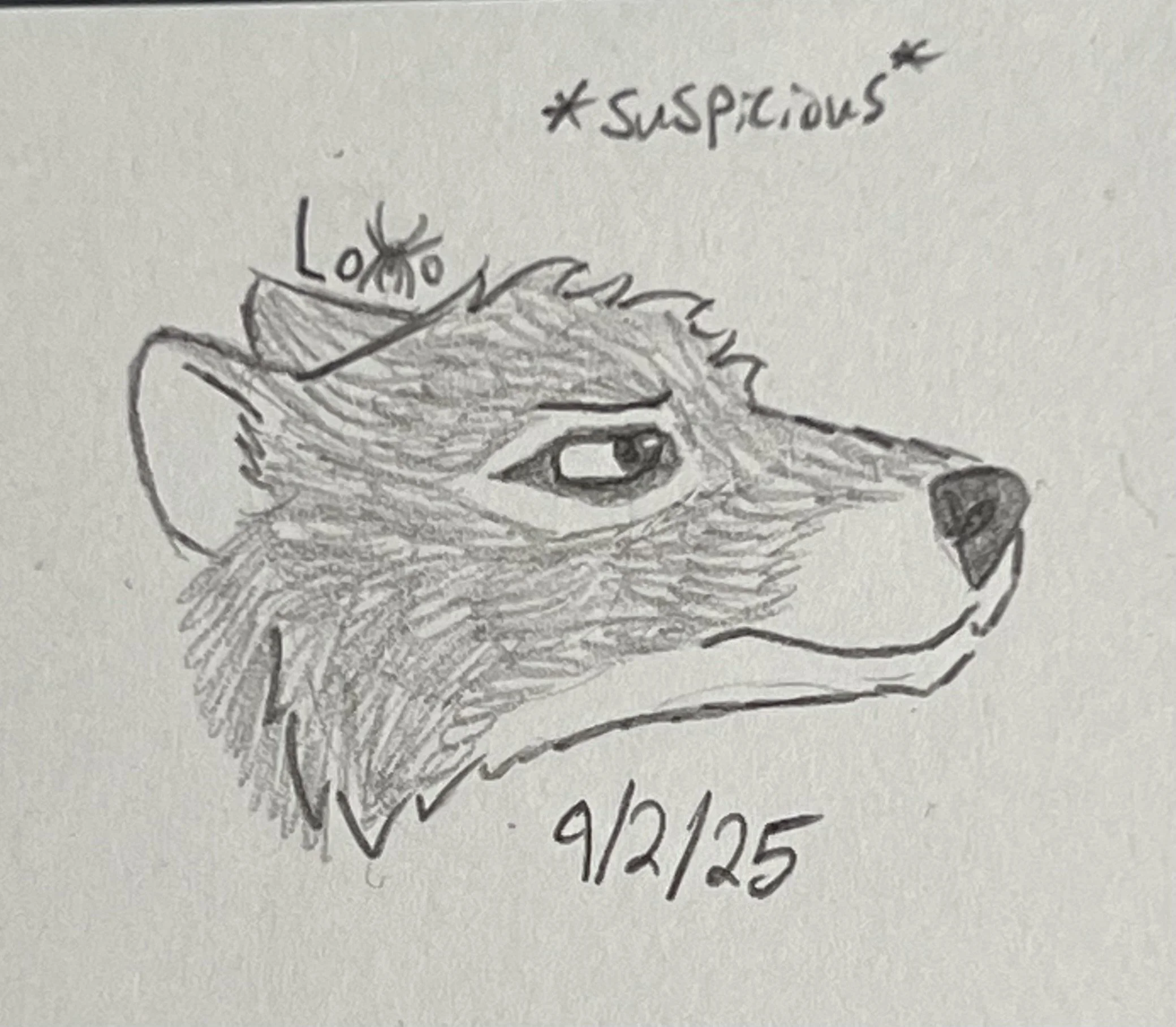 Suspicious thylacine (Tasmanian tiger)