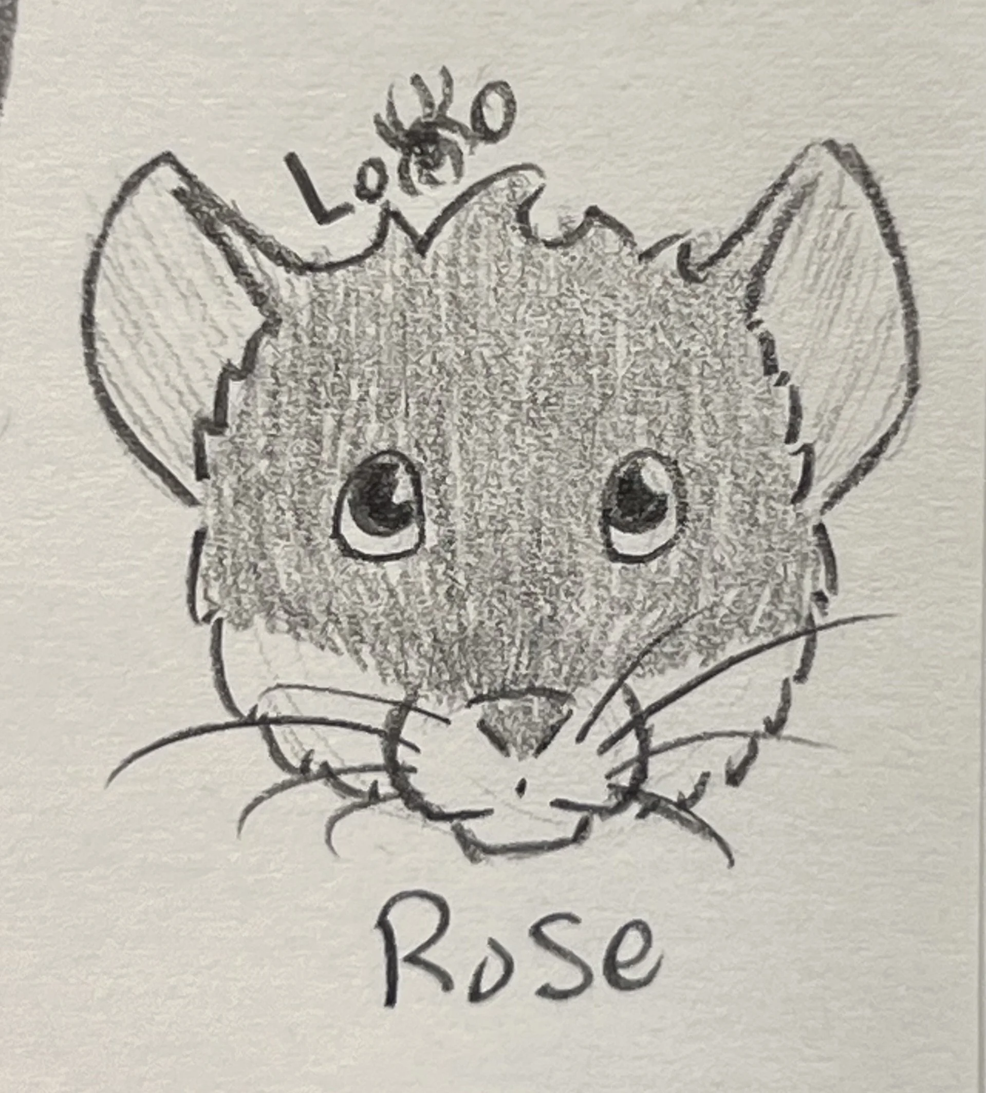 A mouse character from my fiction story Arachnid Assault