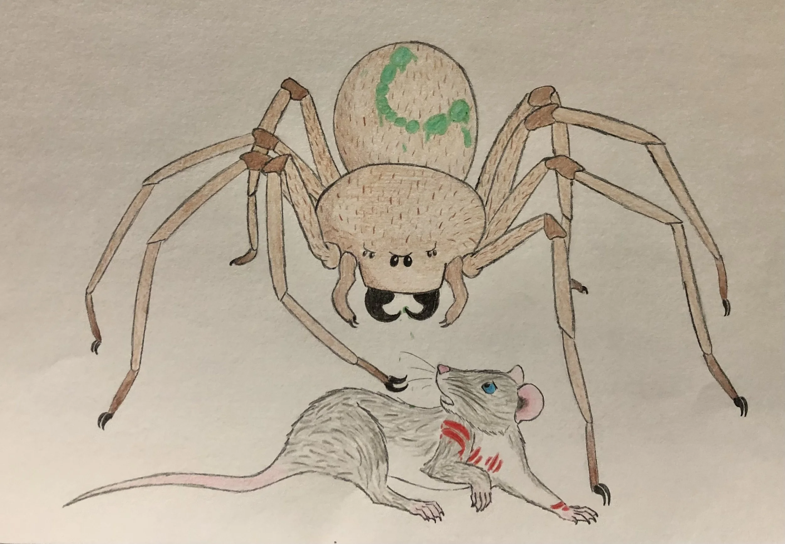 Colored pencil drawing of a scene featuring a spider and mouse character from my fiction story Arachnid Assault
