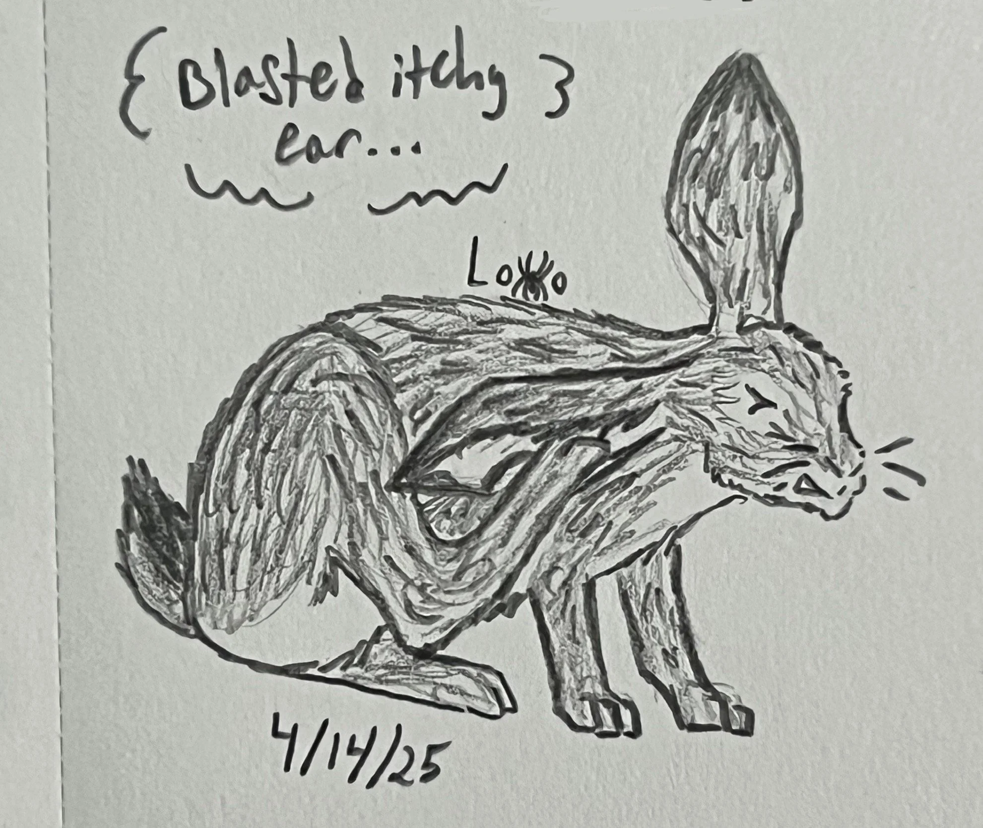 A desert hare character from my fiction story Secrets of the Desert