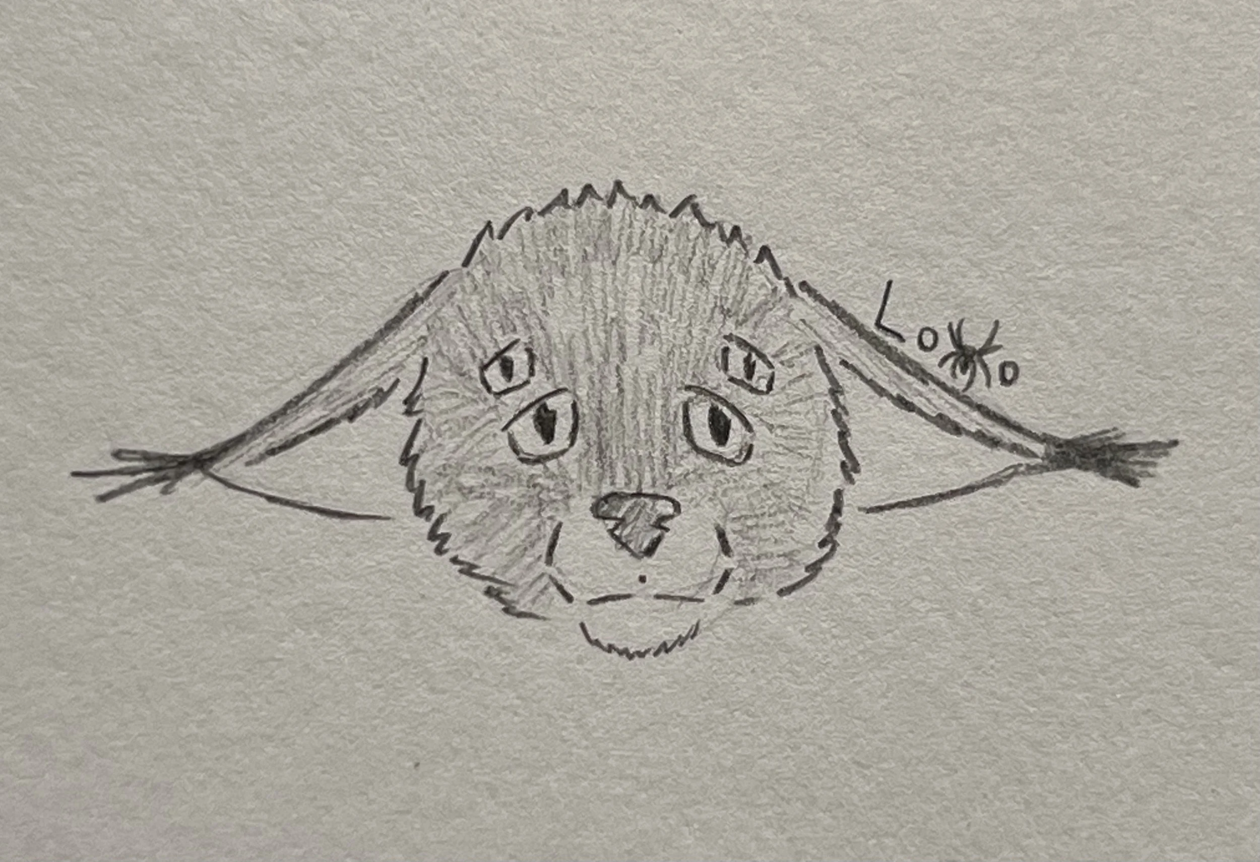 One of my four-eyed alien cats
