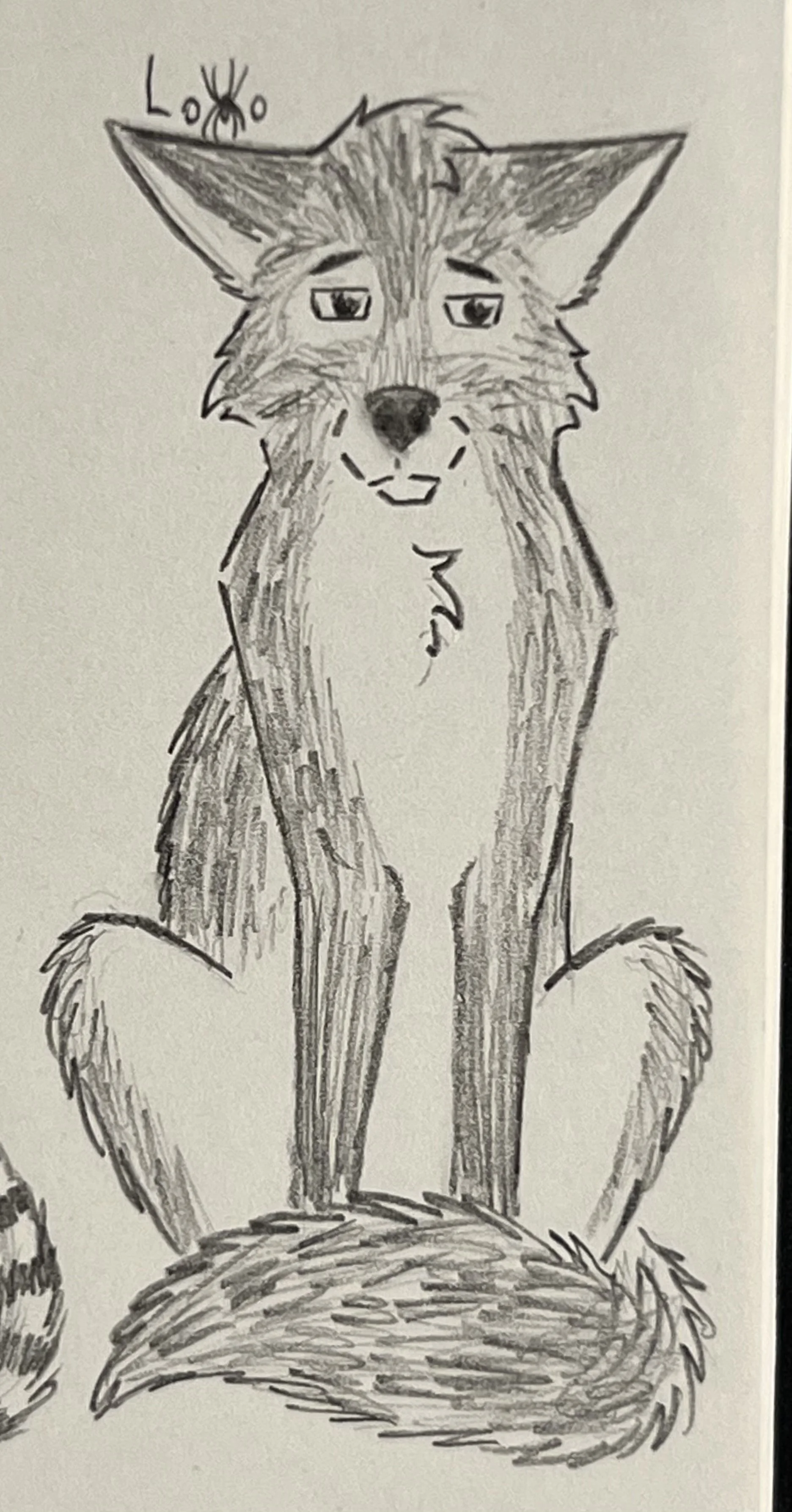 Coyote