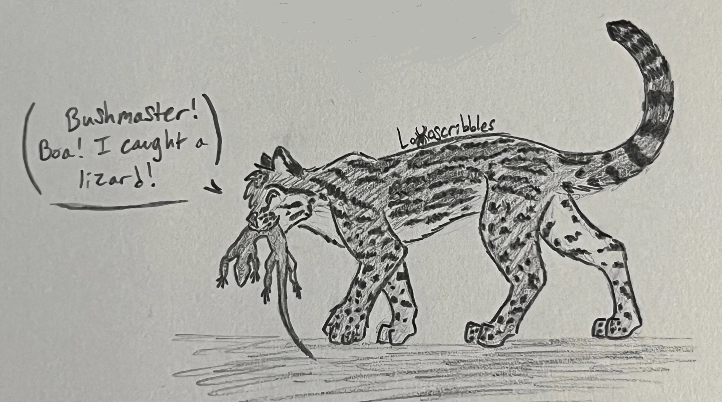 An ocelot character from my fiction story Mountain Academy