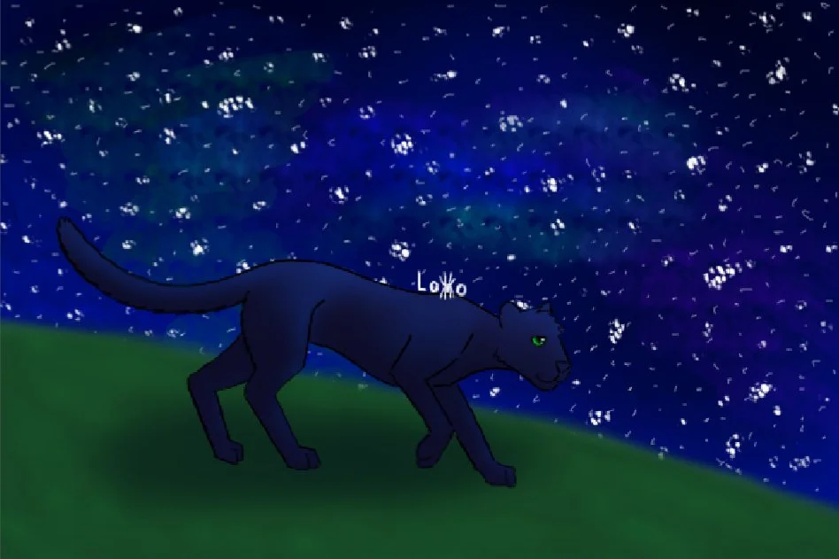 Illustration of my cougar-jaguar hybrid character with a starry background