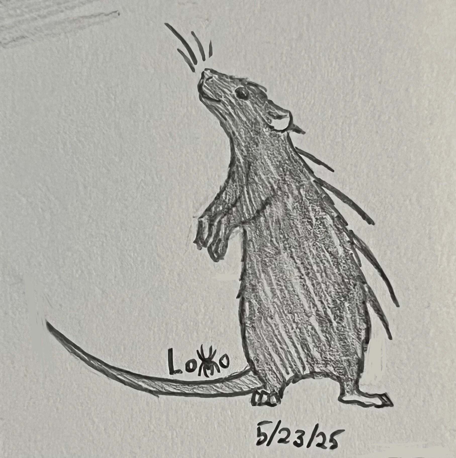 A spiky alien rat that I designed